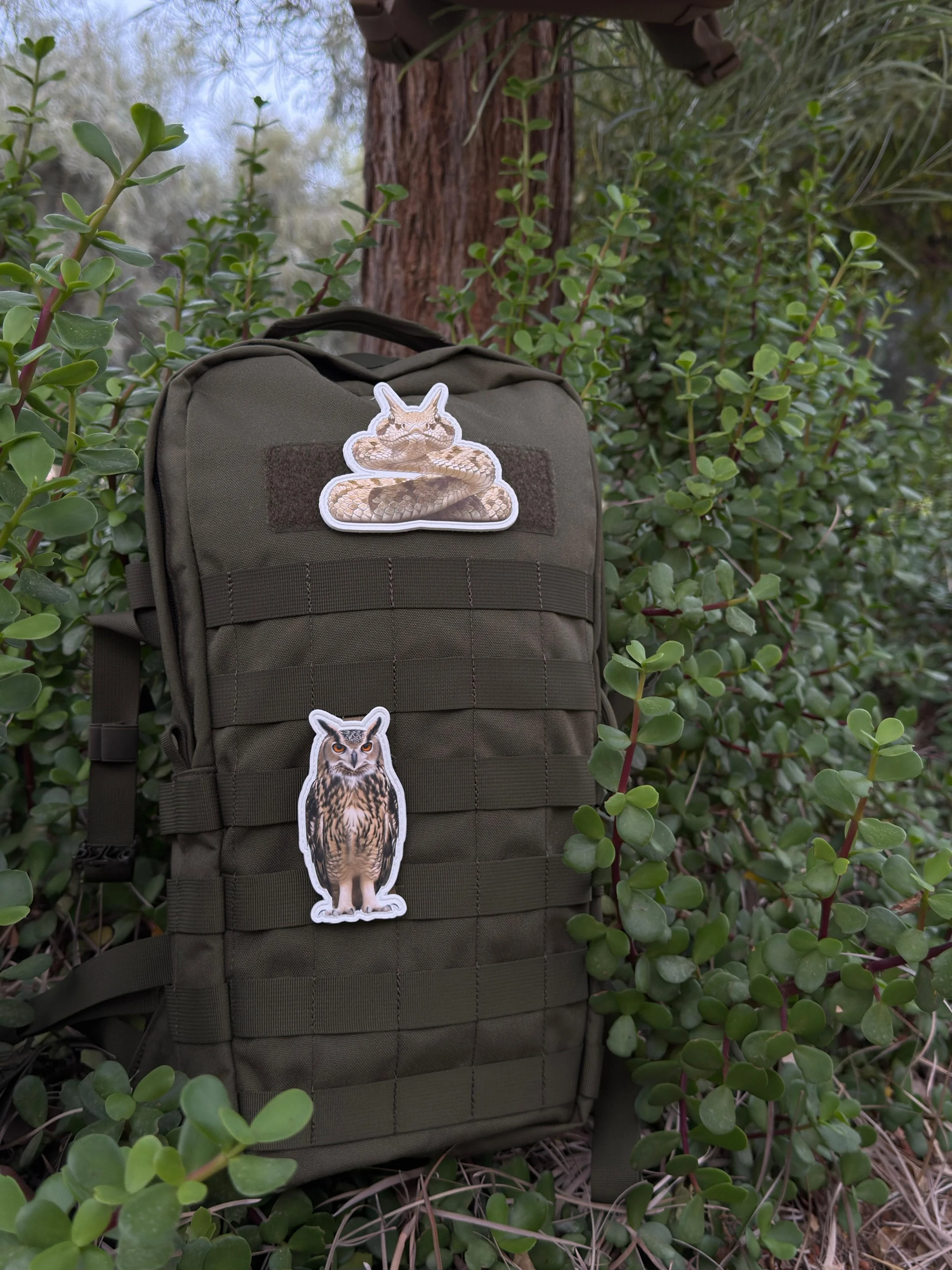 WhatsApp Image 2026-03-19 at 13.30.35 (23).jpeg