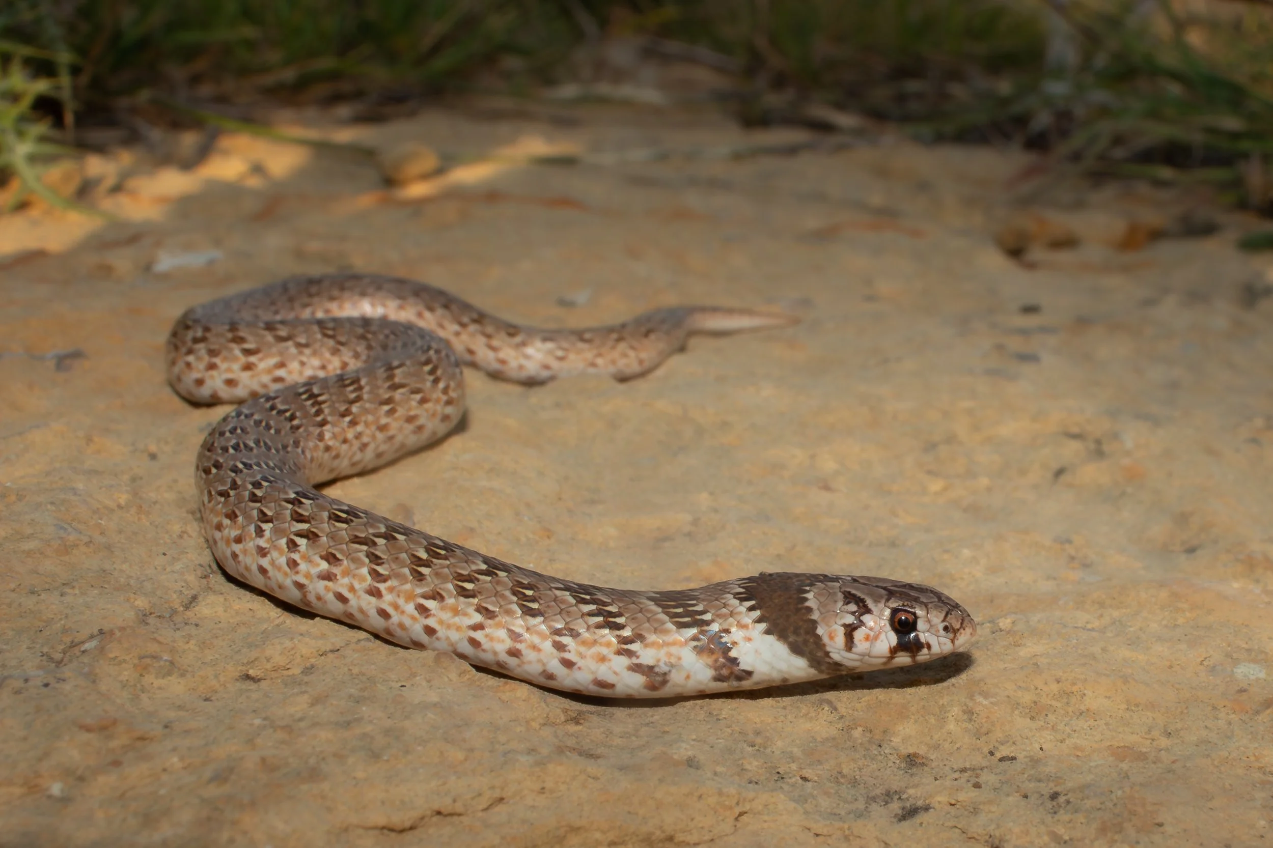 Photo credit: Shady Akl