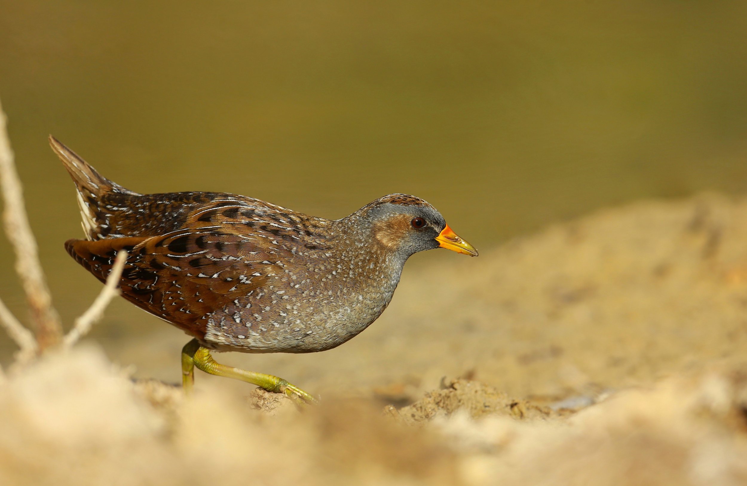 Photo Credit: Paul Kinnock