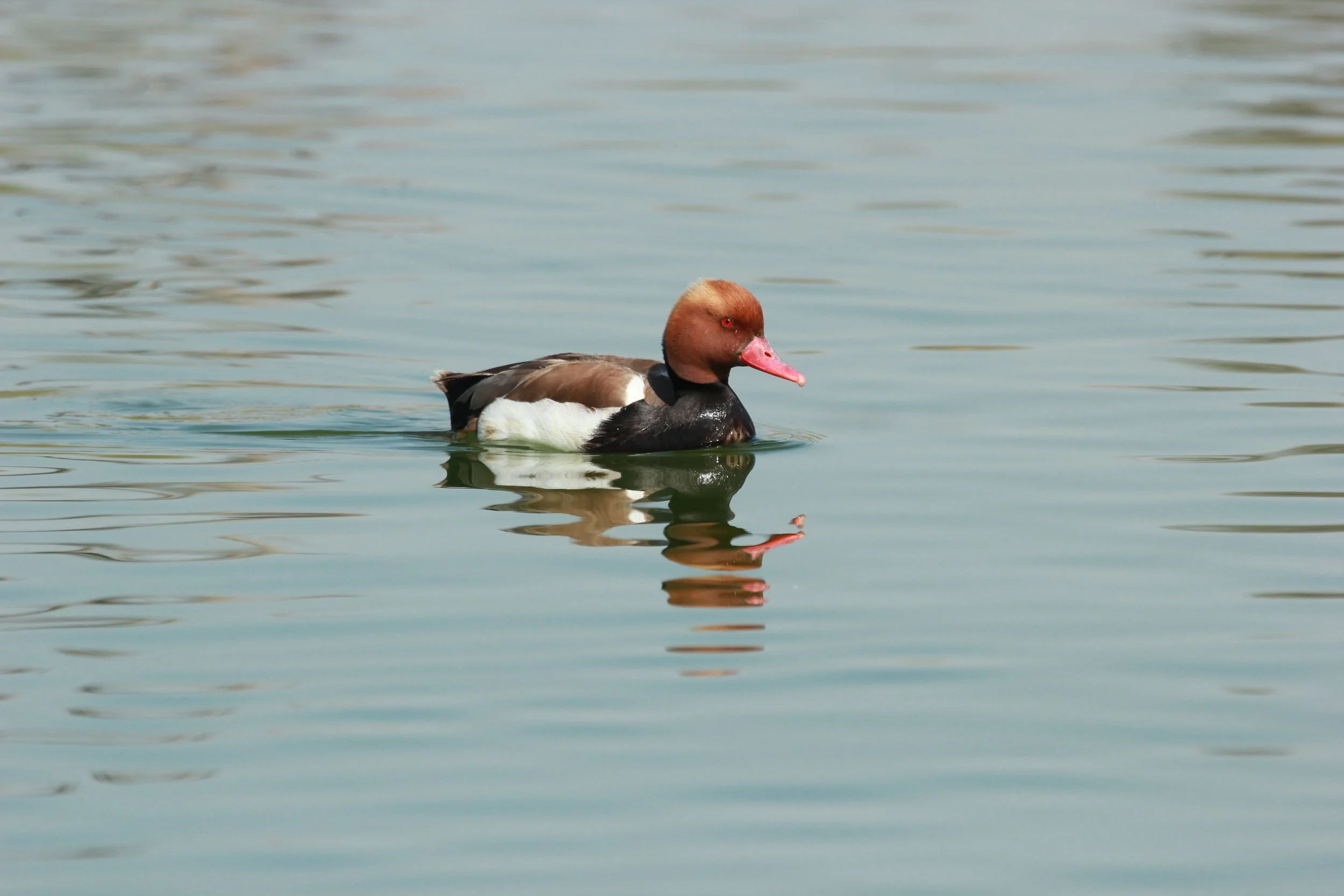 Photo Credit: Paul Kinnock