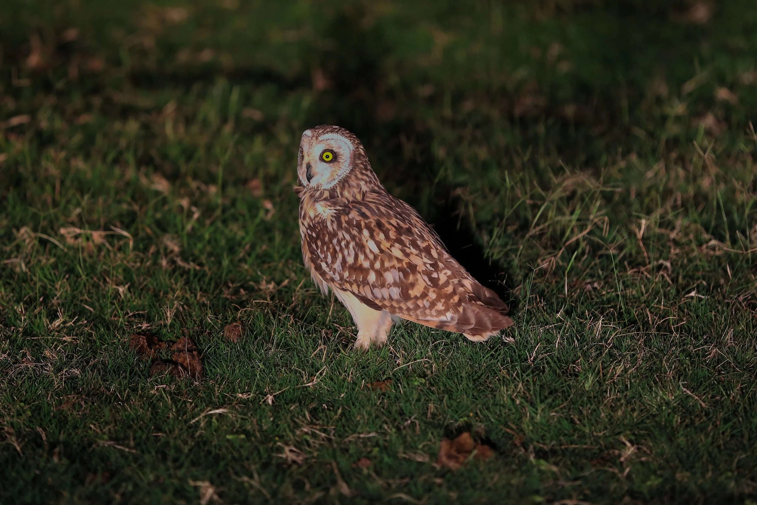 Photo Credit: Paul Kinnock