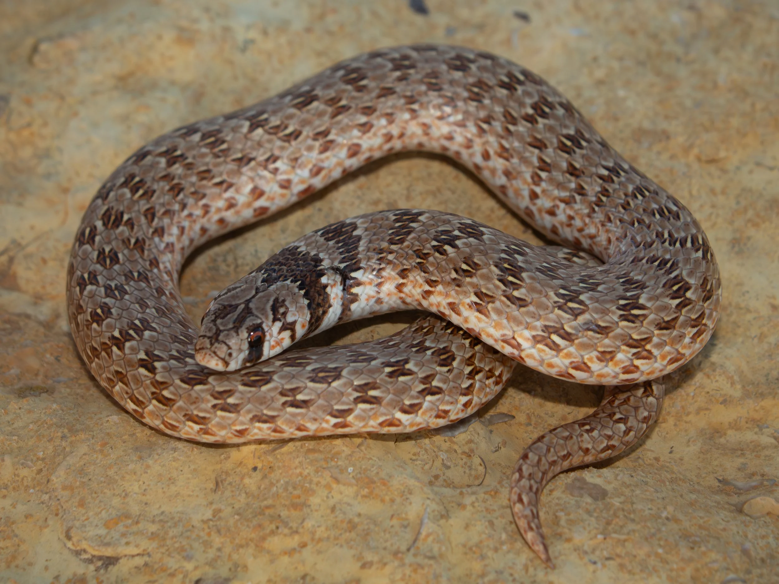 Photo credit: Shady Akl