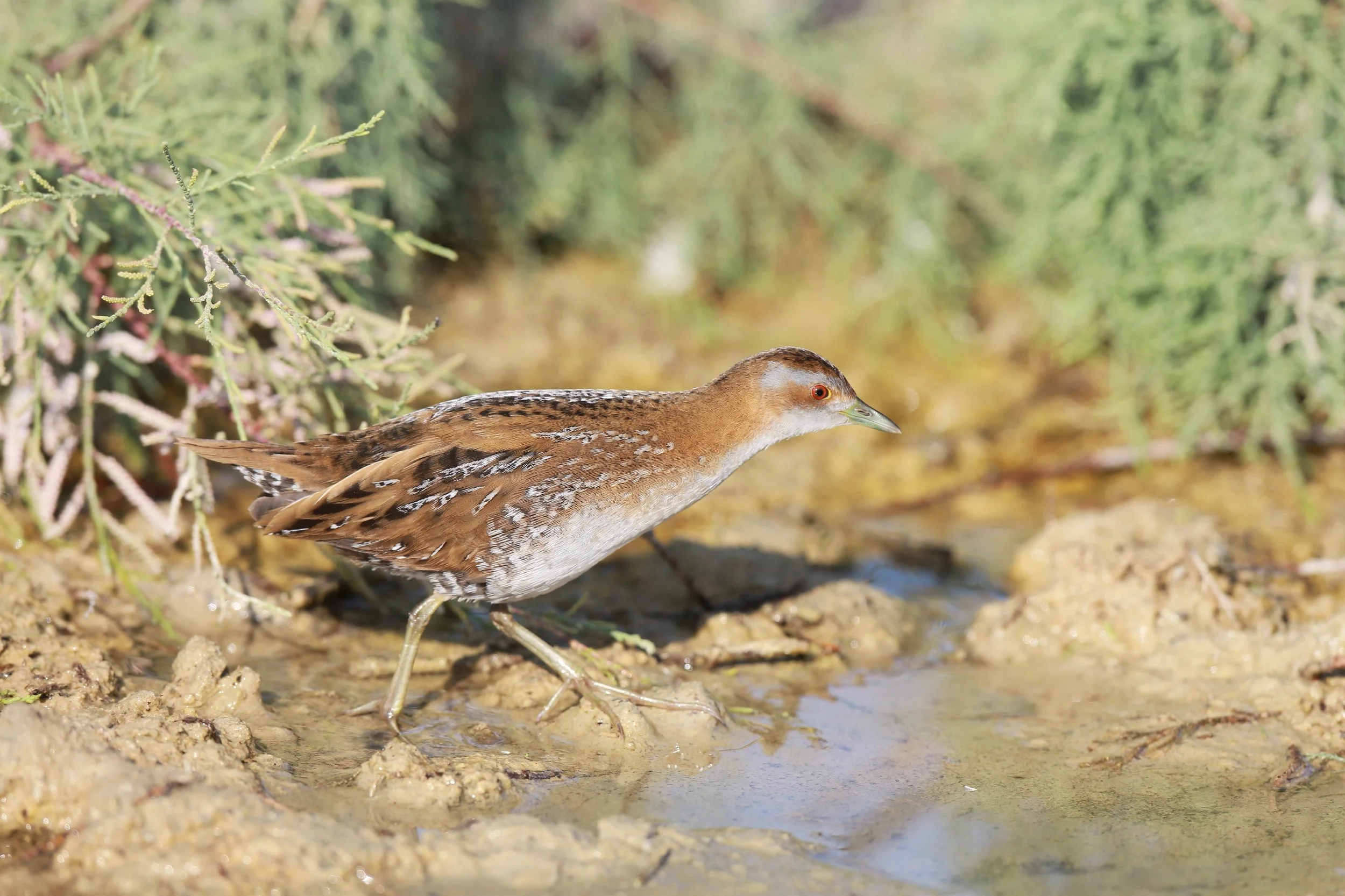 Photo Credit: Paul Kinnock