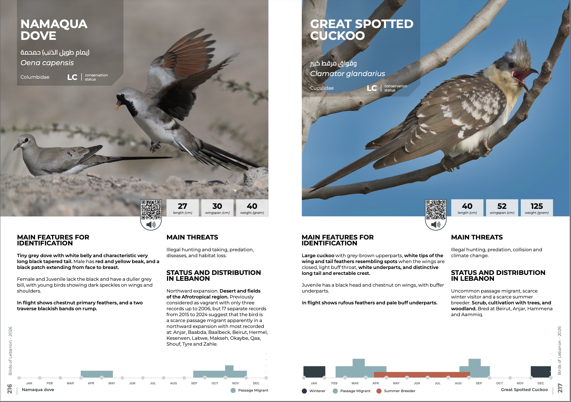 Birds of Lebanon — My Photo Contribution