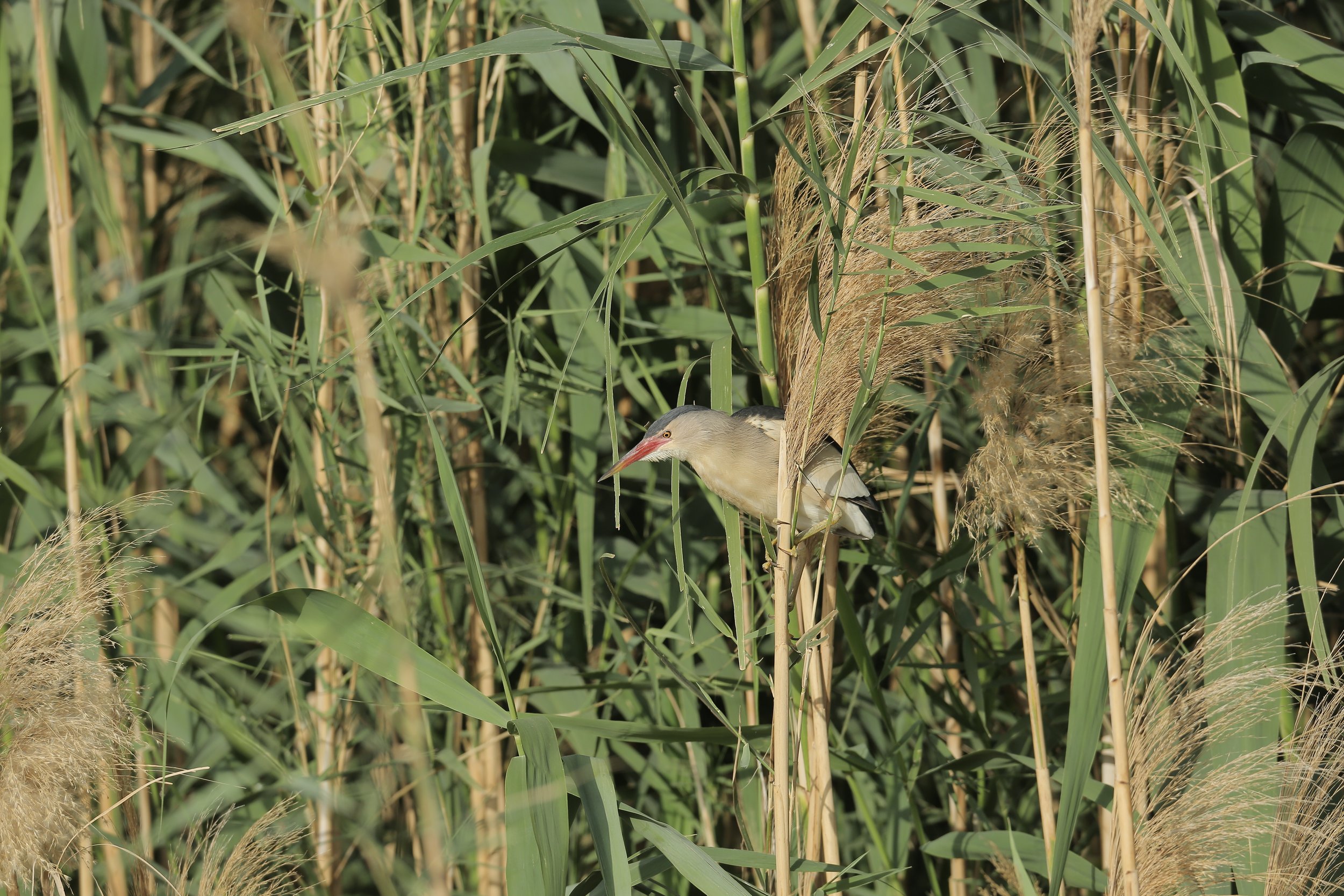 Photo Credit: Paul Kinnock