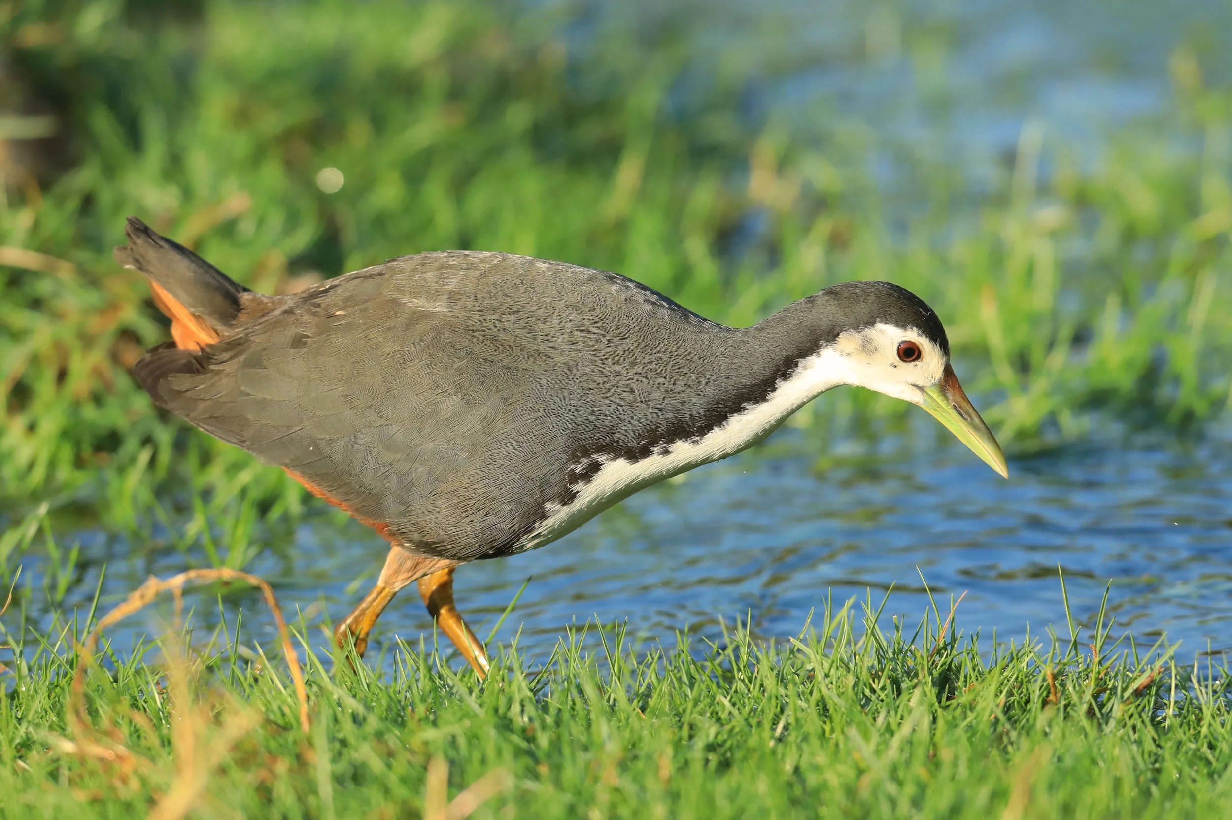 Photo Credit: Paul Kinnock