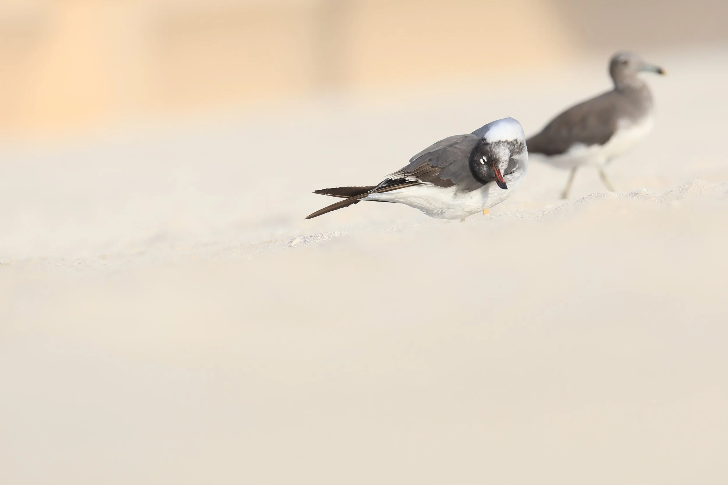 Photo Credit: Paul Kinnock