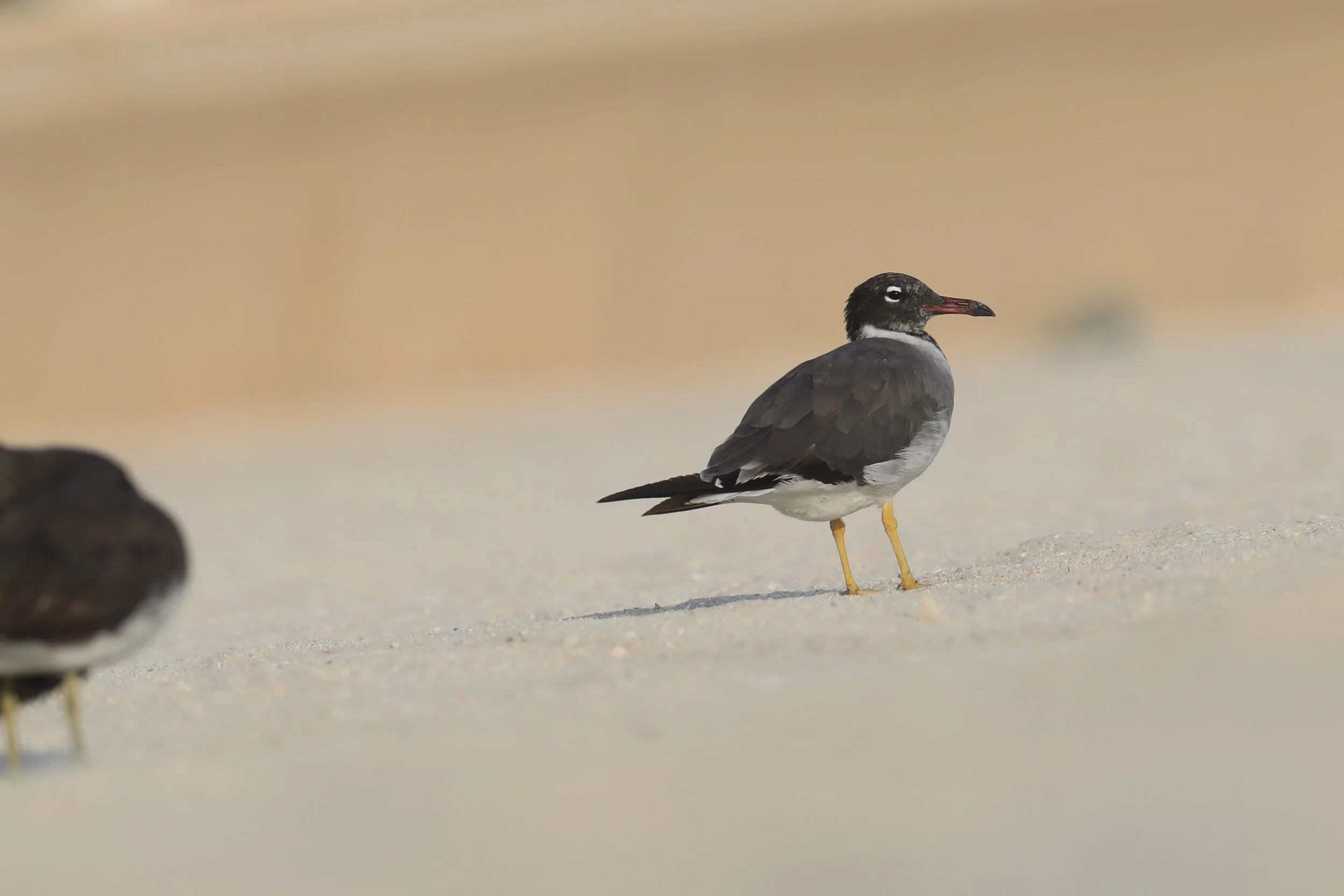 Photo Credit: Paul Kinnock