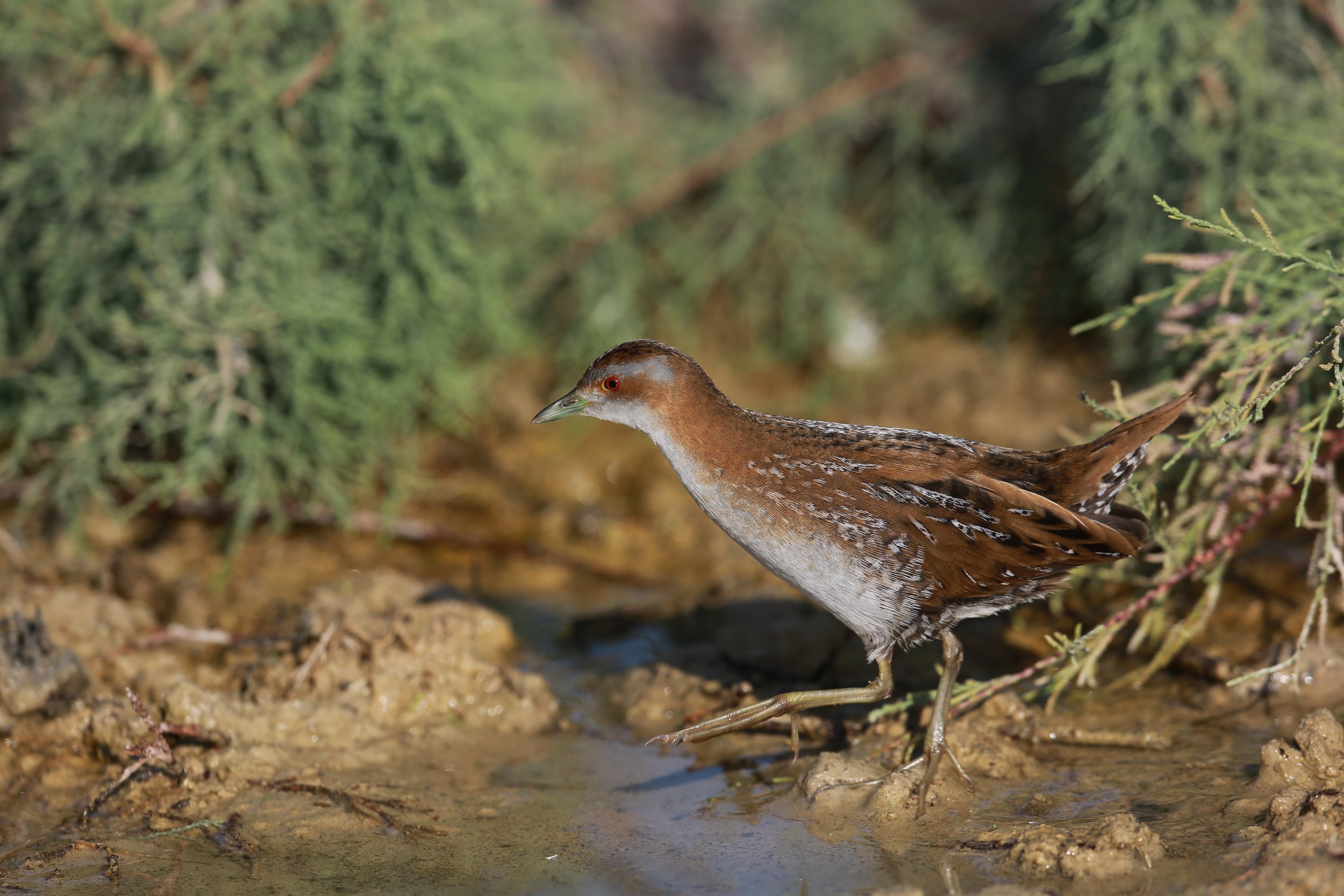 Photo Credit: Paul Kinnock