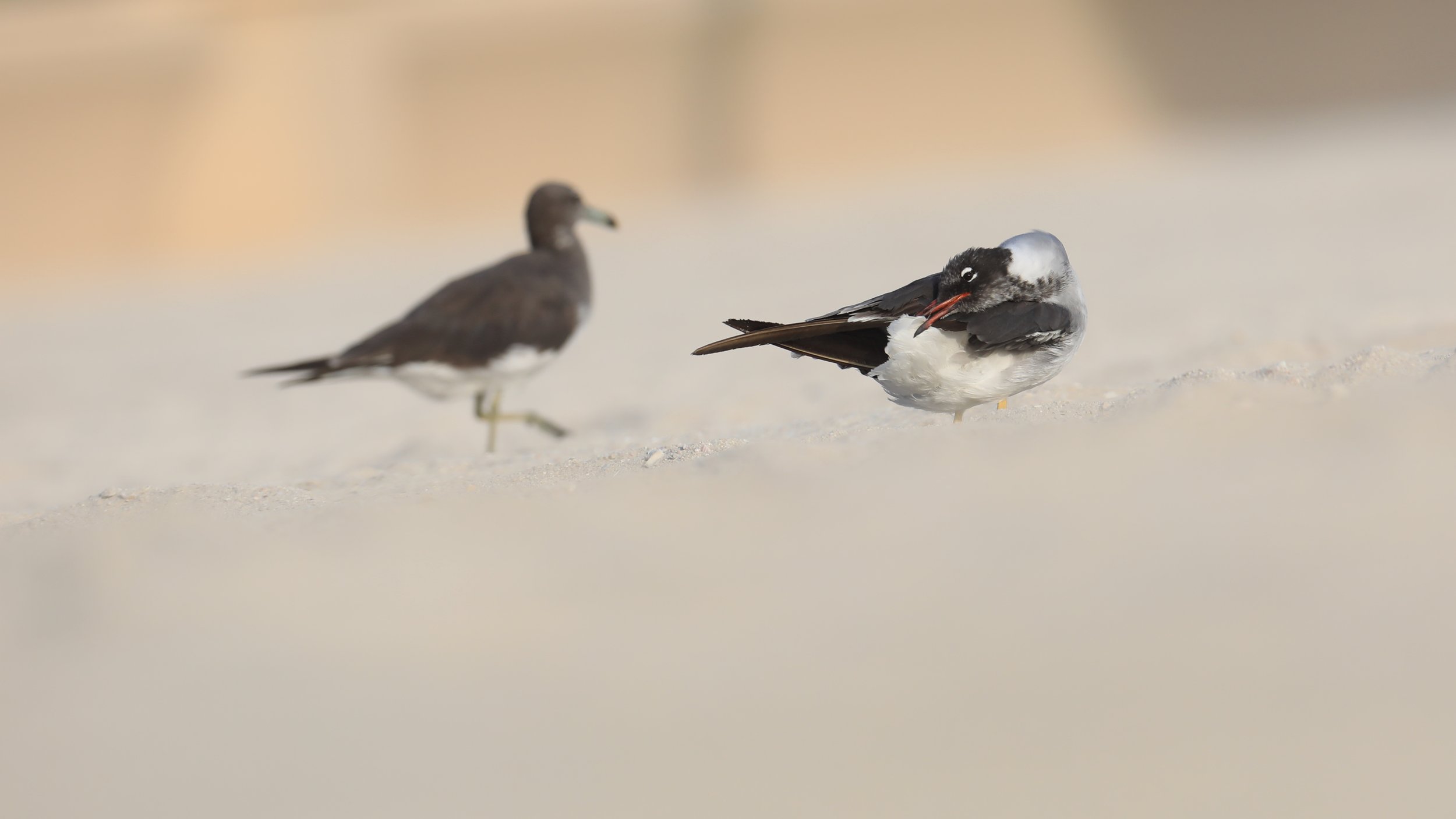 Photo Credit: Paul Kinnock