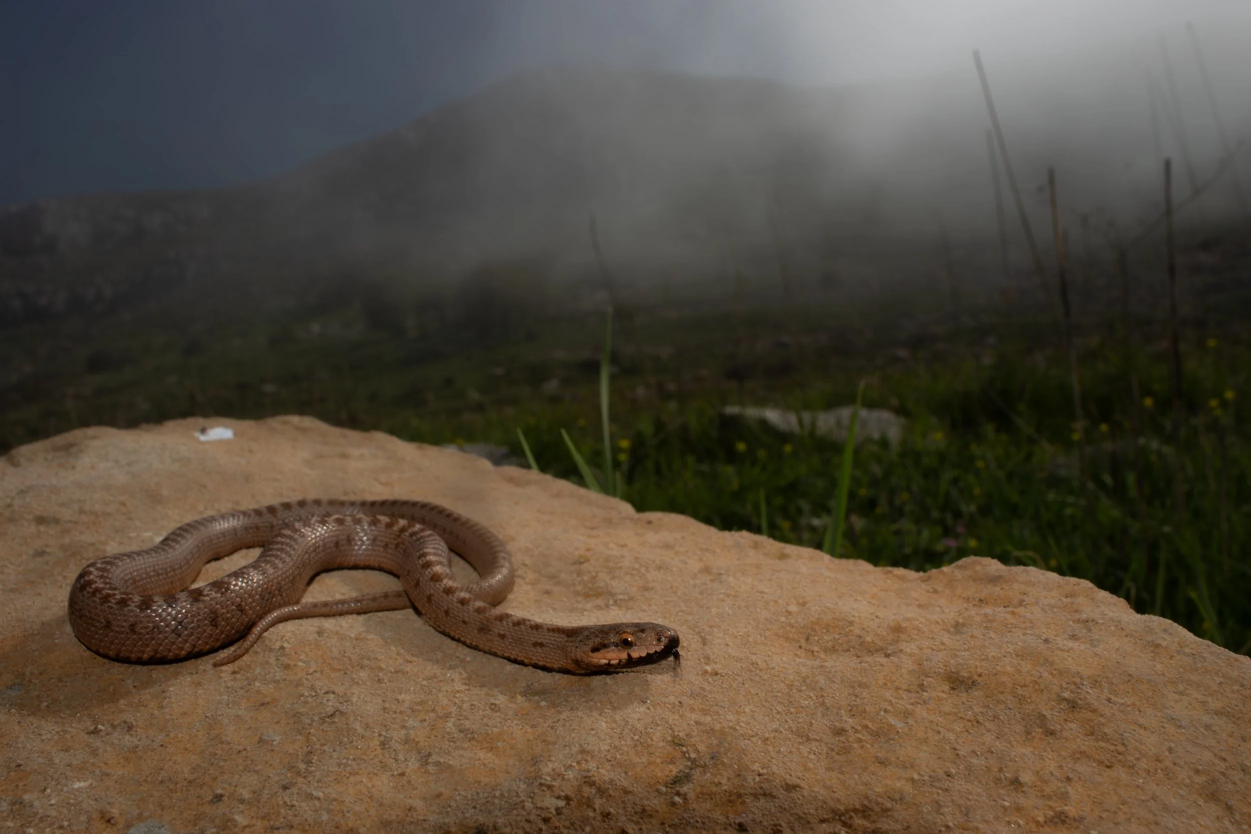 Photo credit: Shady Akl