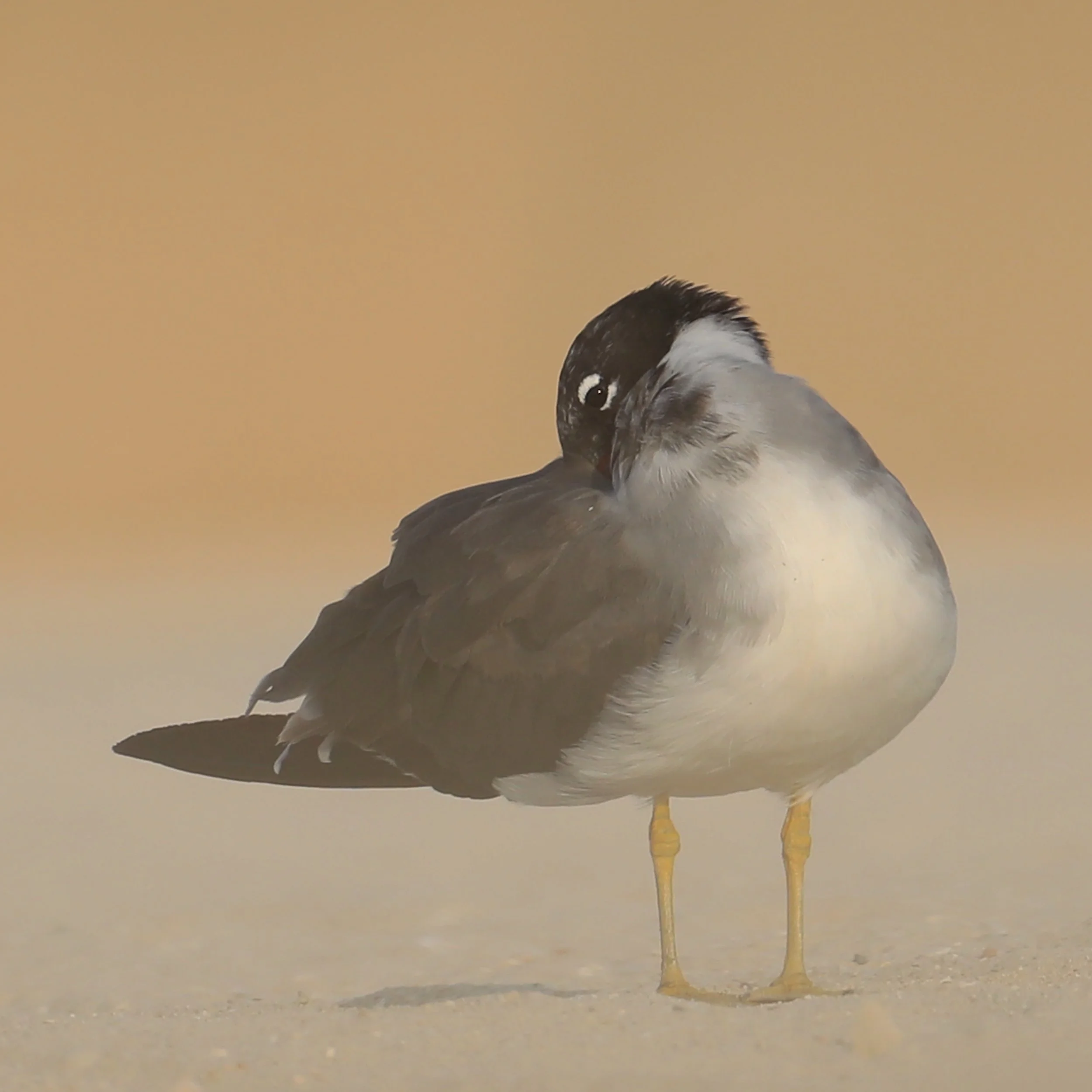 Photo Credit: Paul Kinnock