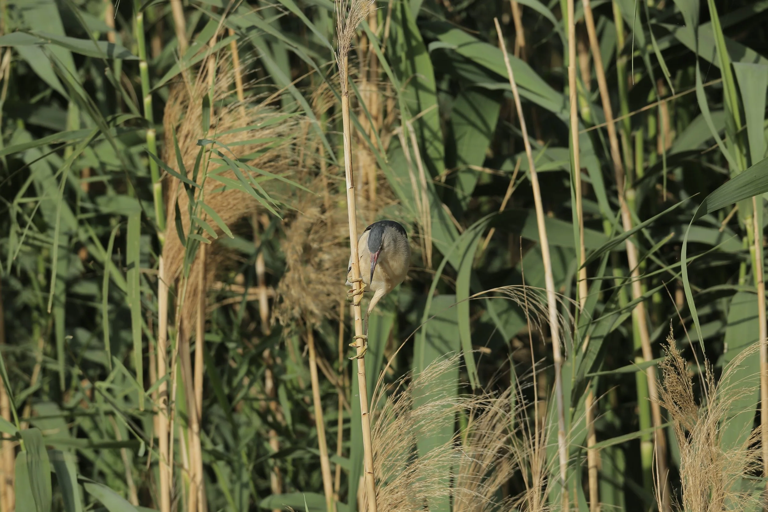 Photo Credit: Paul Kinnock