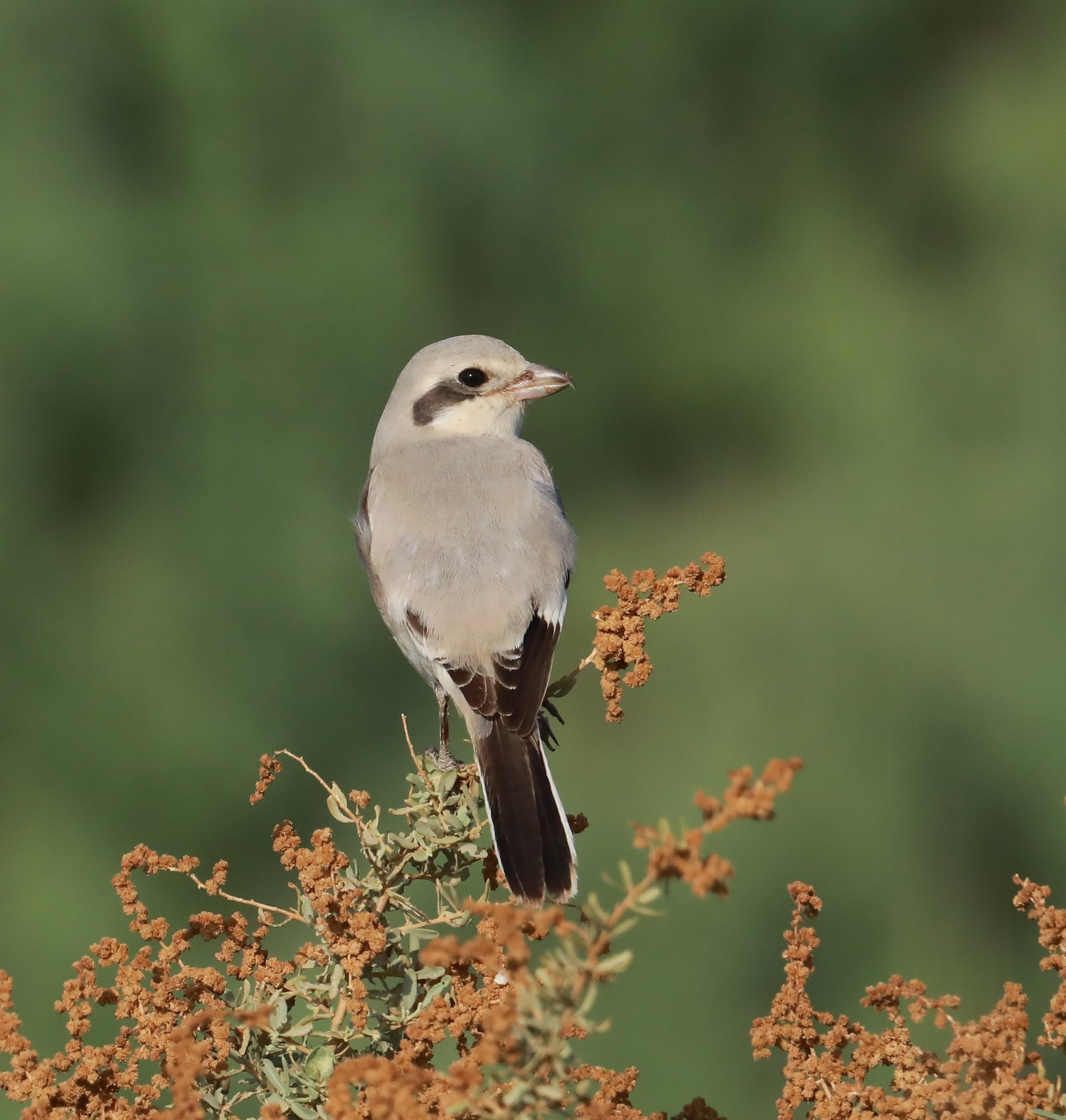 Photo Credit: Paul Kinnock