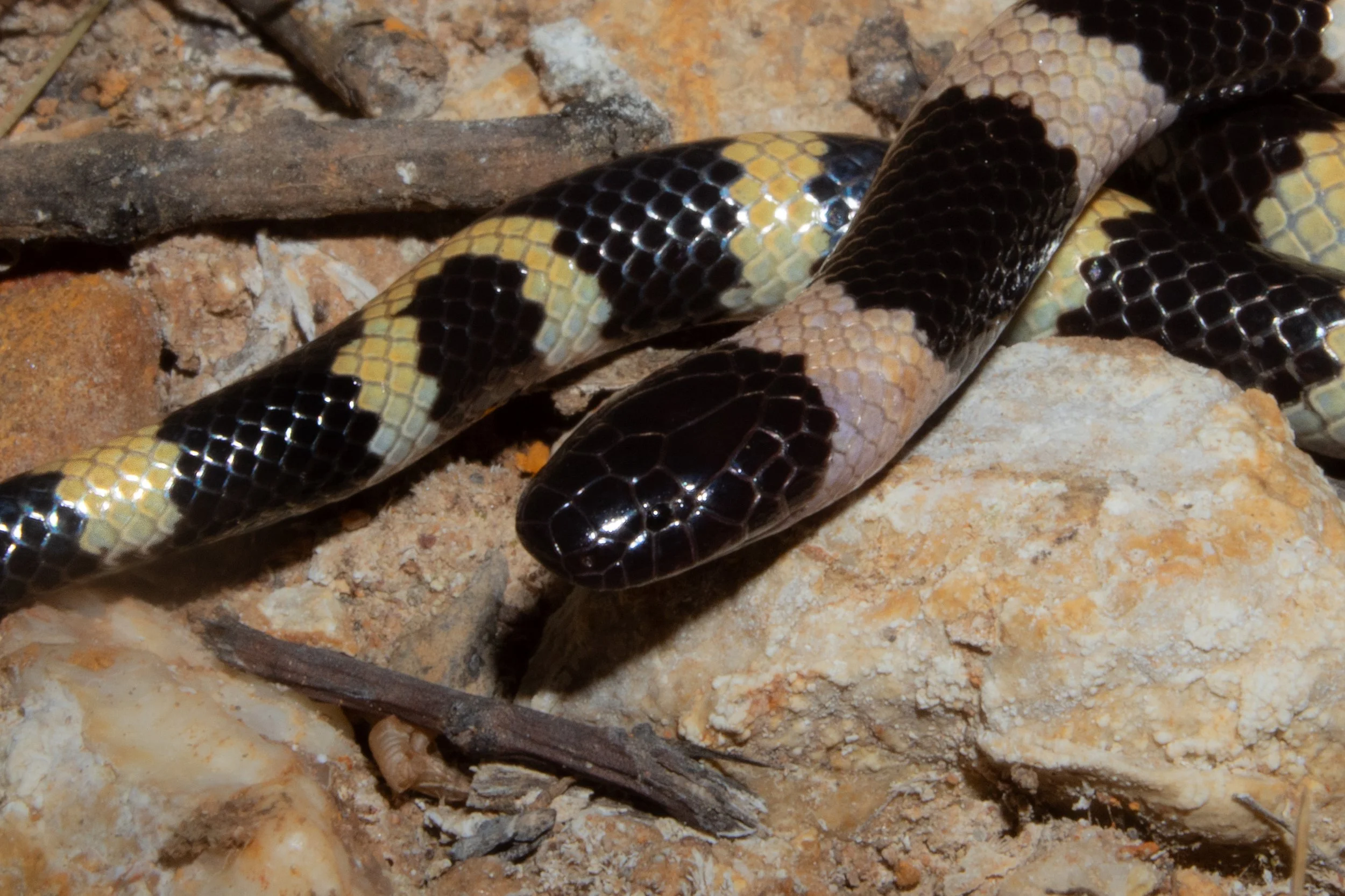 Photo credit: Shady Akl