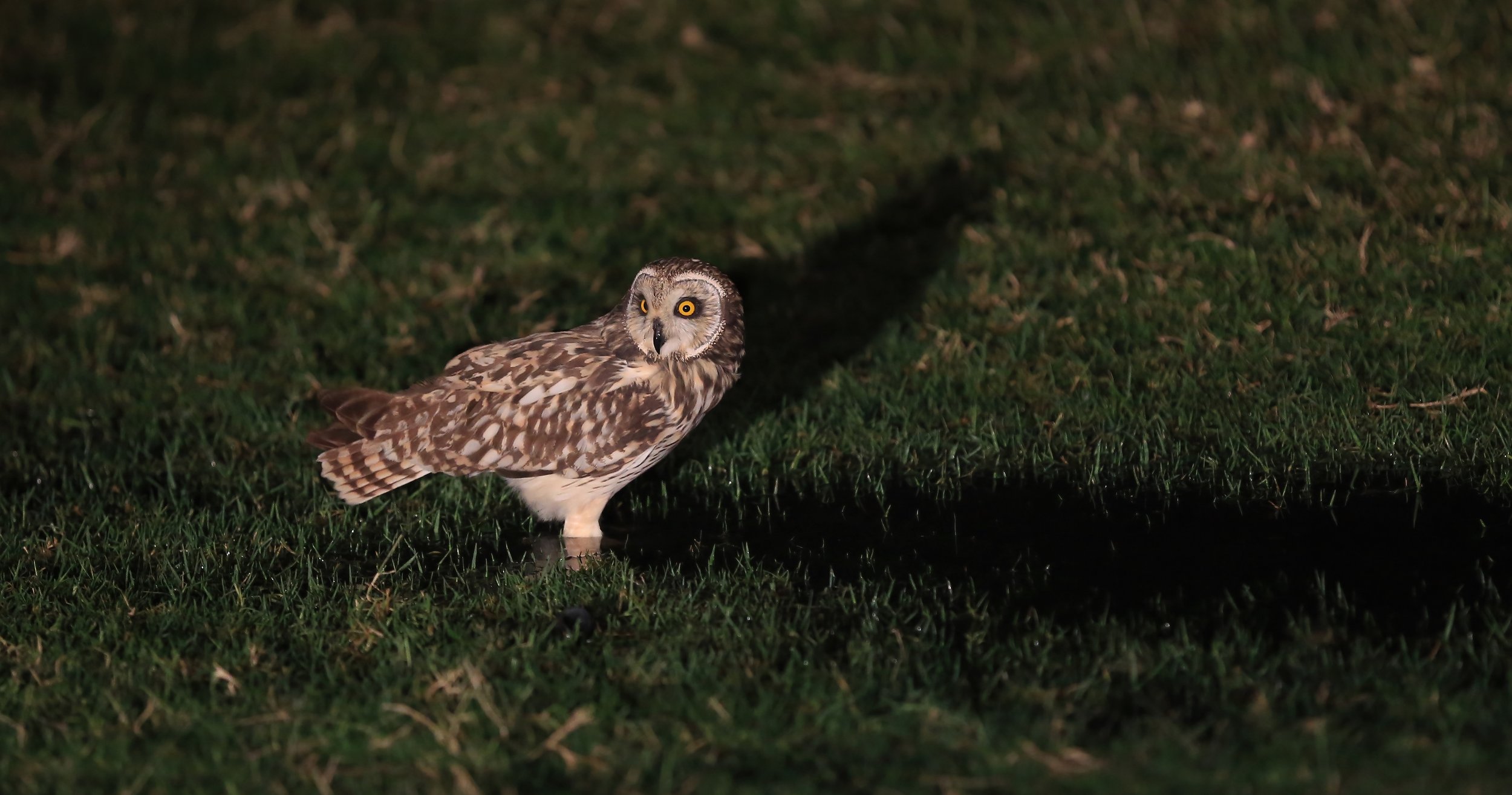 Photo Credit: Paul Kinnock