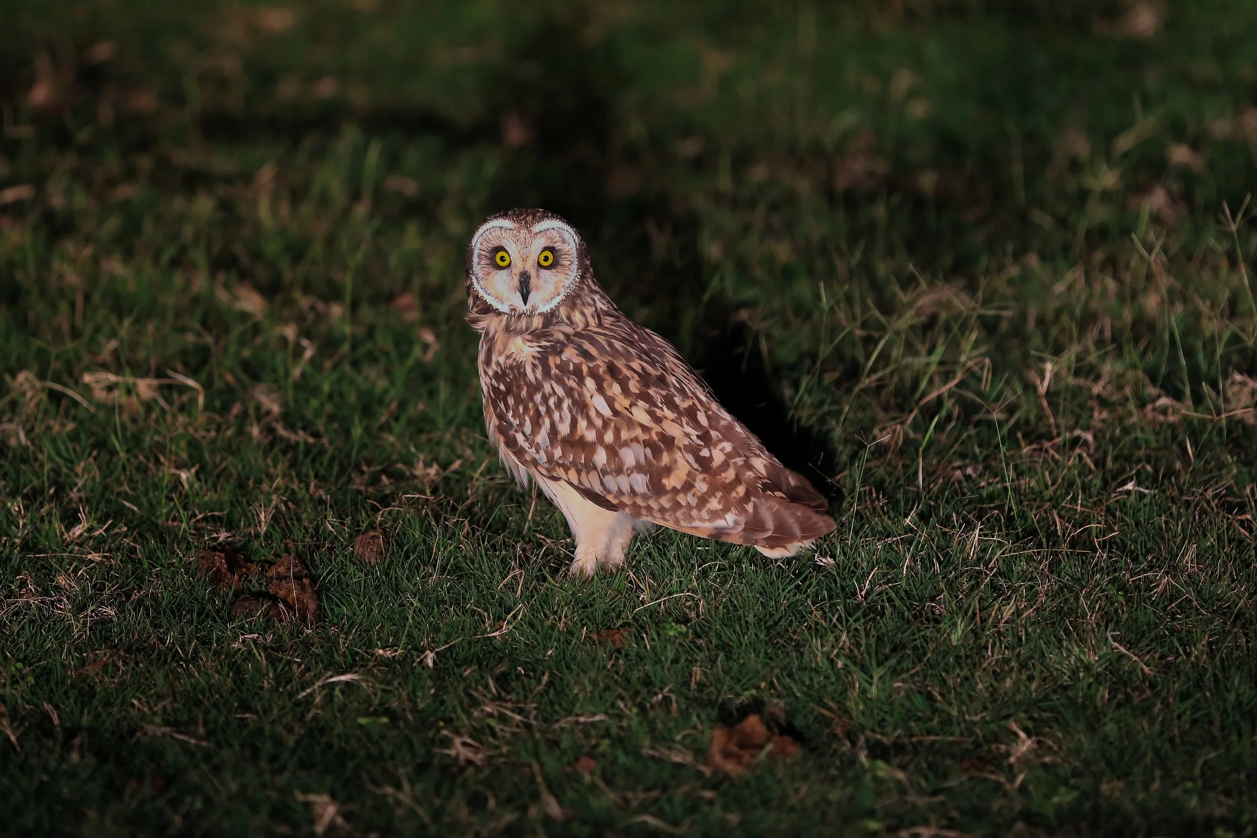 Photo Credit: Paul Kinnock