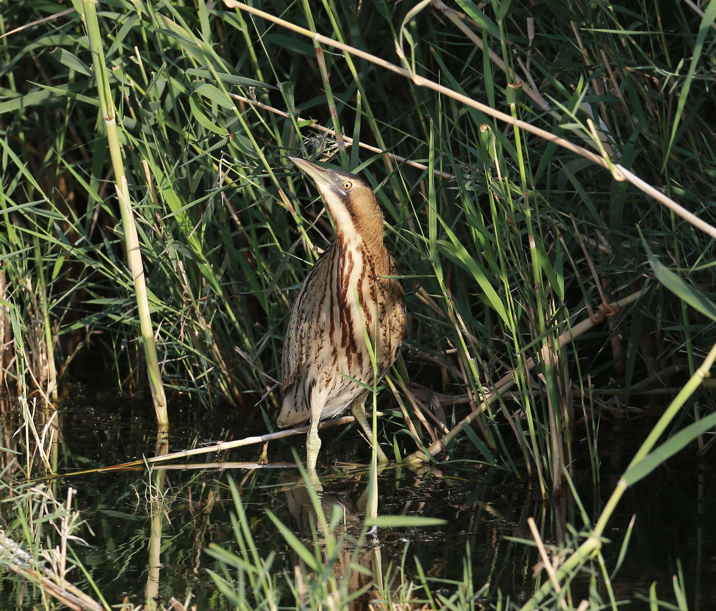 Photo Credit: Paul Kinnock