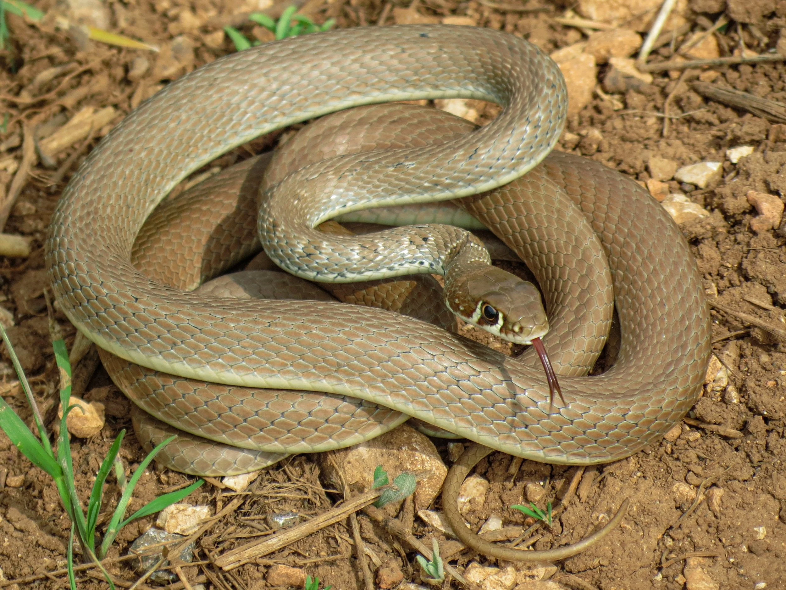 Photo credit : Jad Mershed