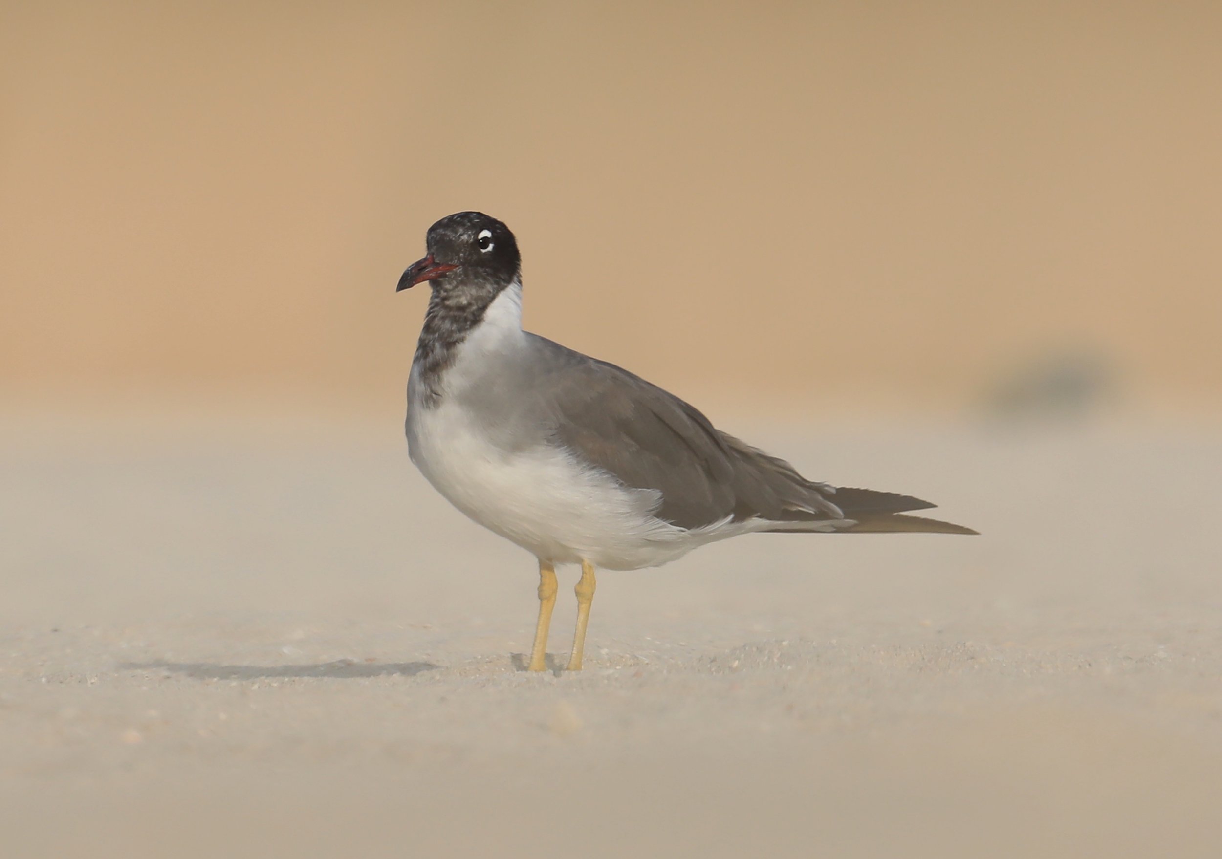 Photo Credit: Paul Kinnock