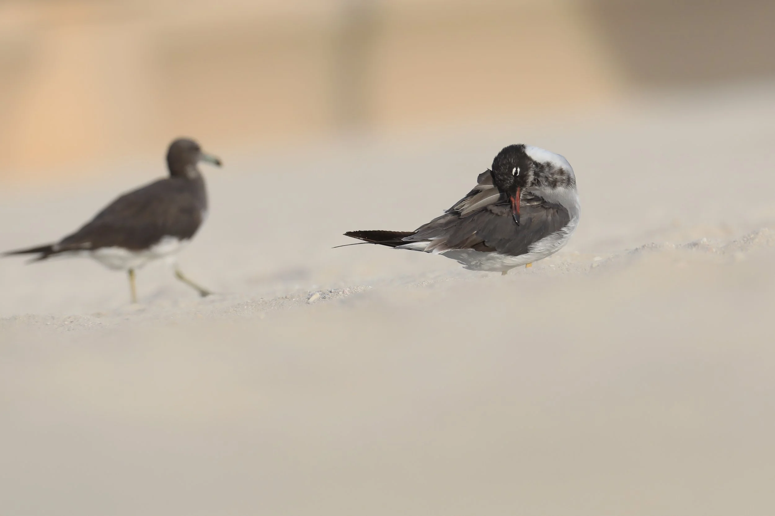 Photo Credit: Paul Kinnock