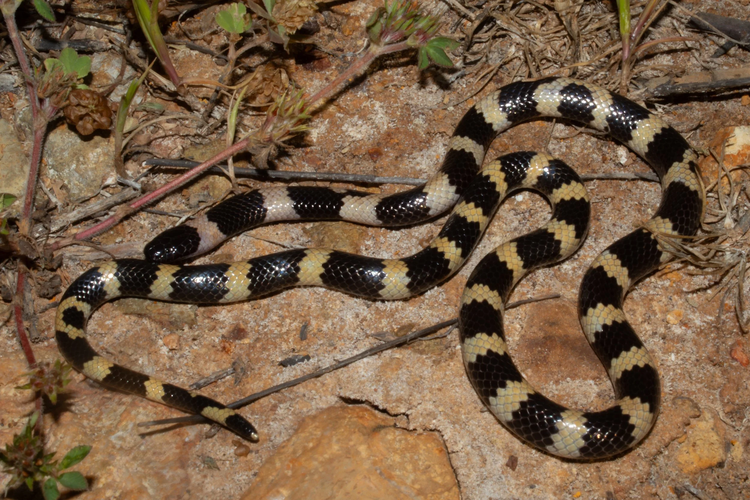 Photo credit: Shady Akl