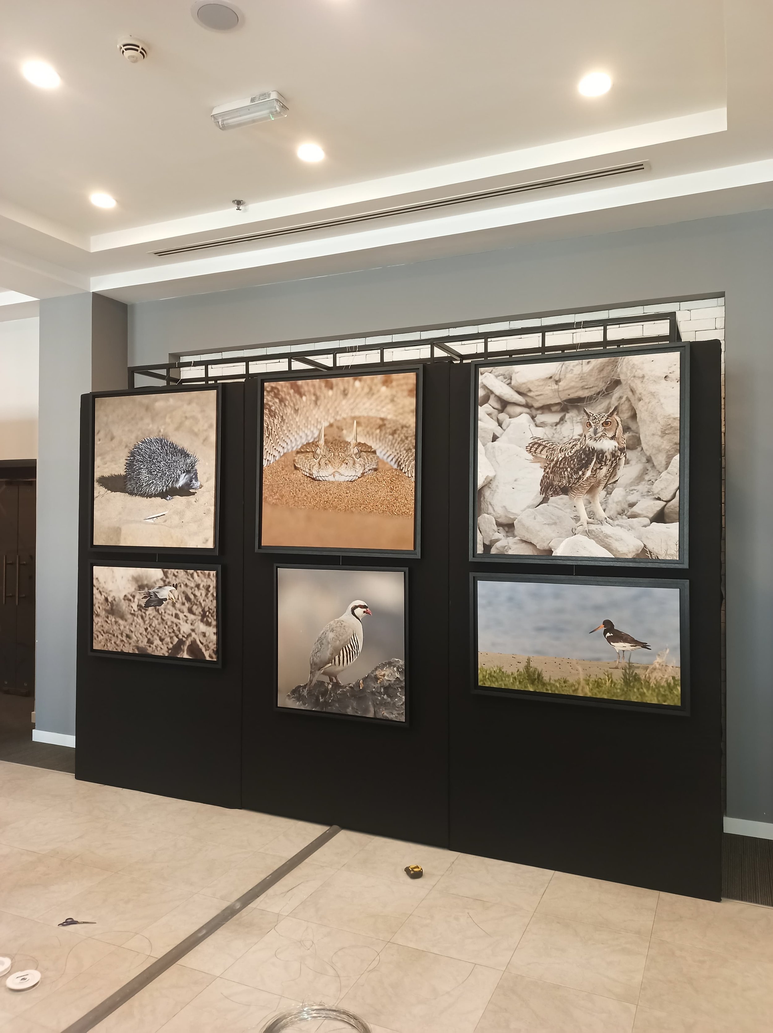 Exhibition Umm Al Quwain Cultural Center