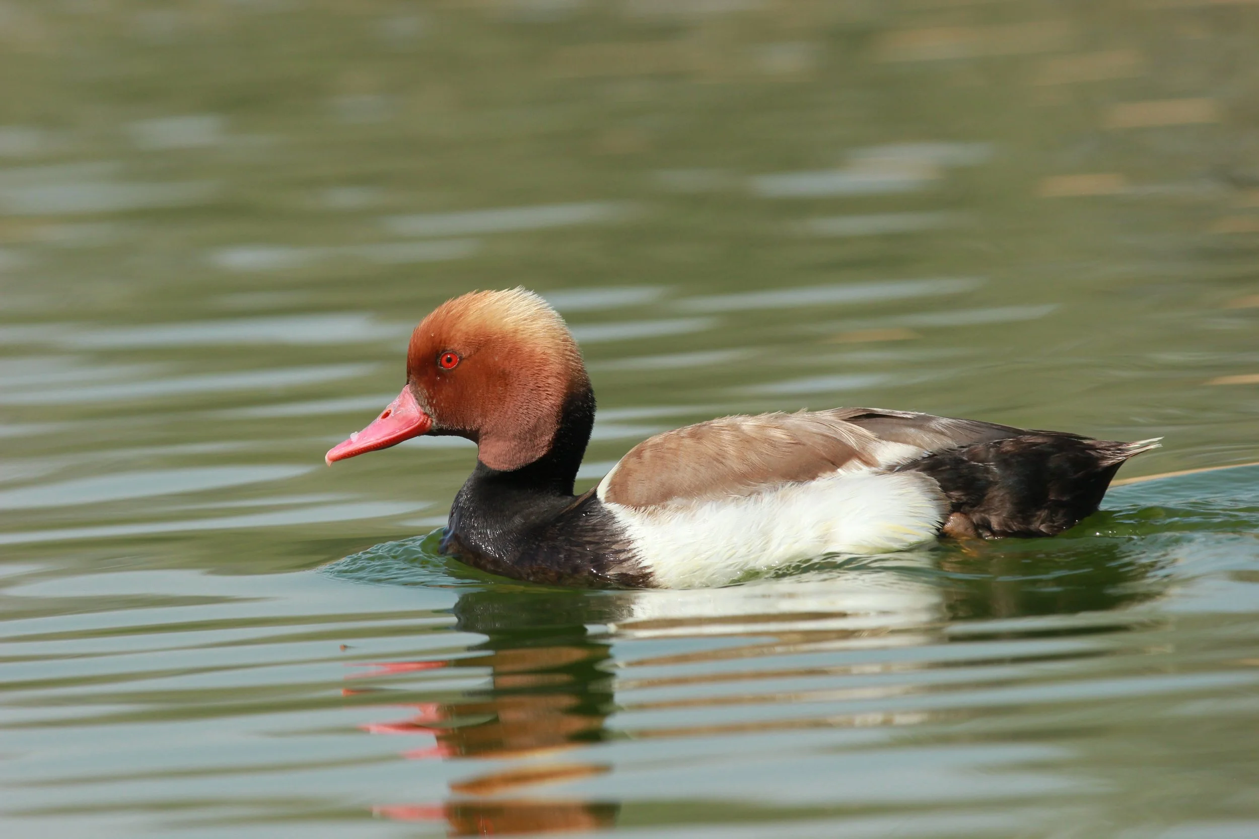 Photo Credit: Paul Kinnock