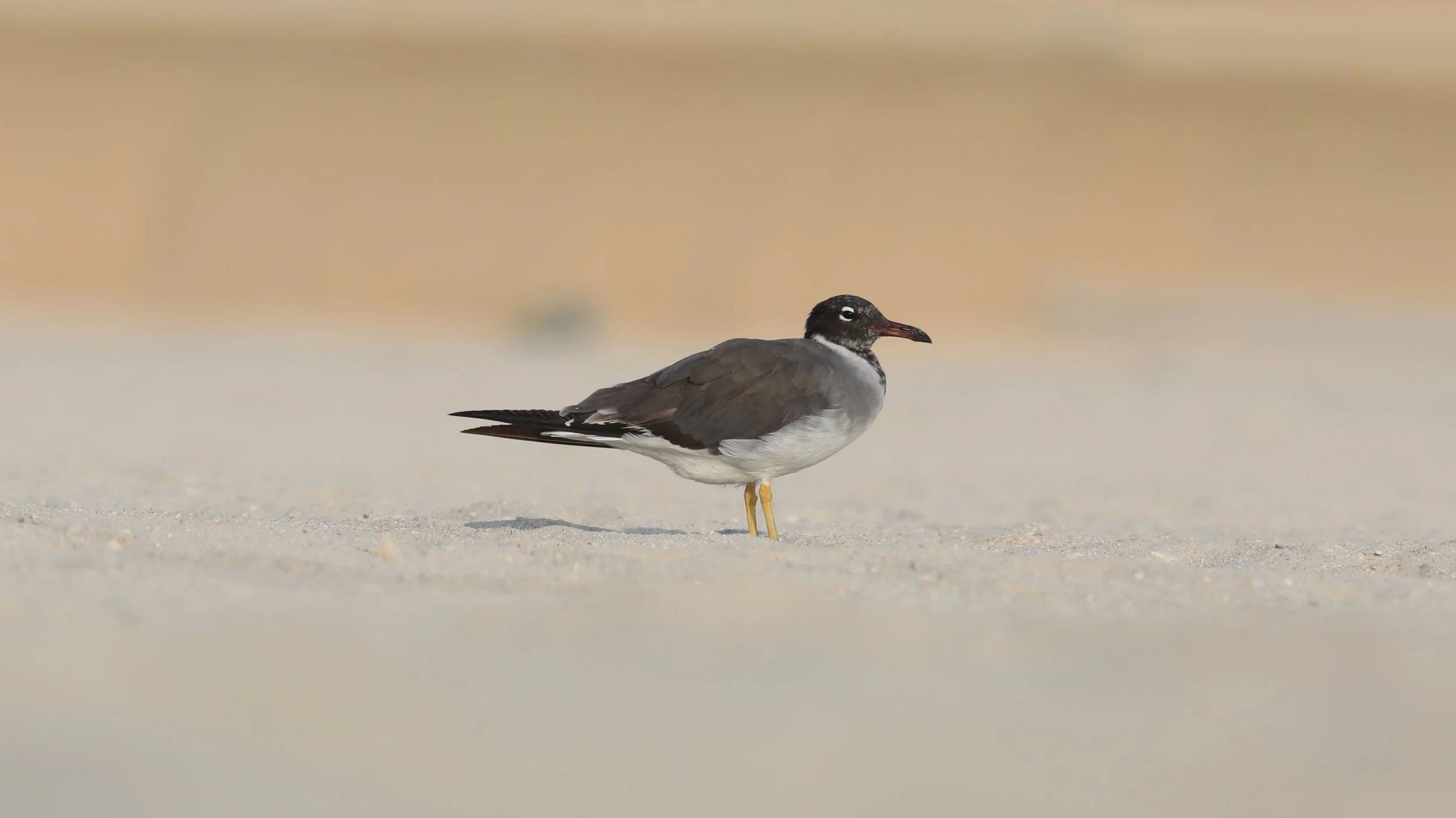 Photo Credit: Paul Kinnock