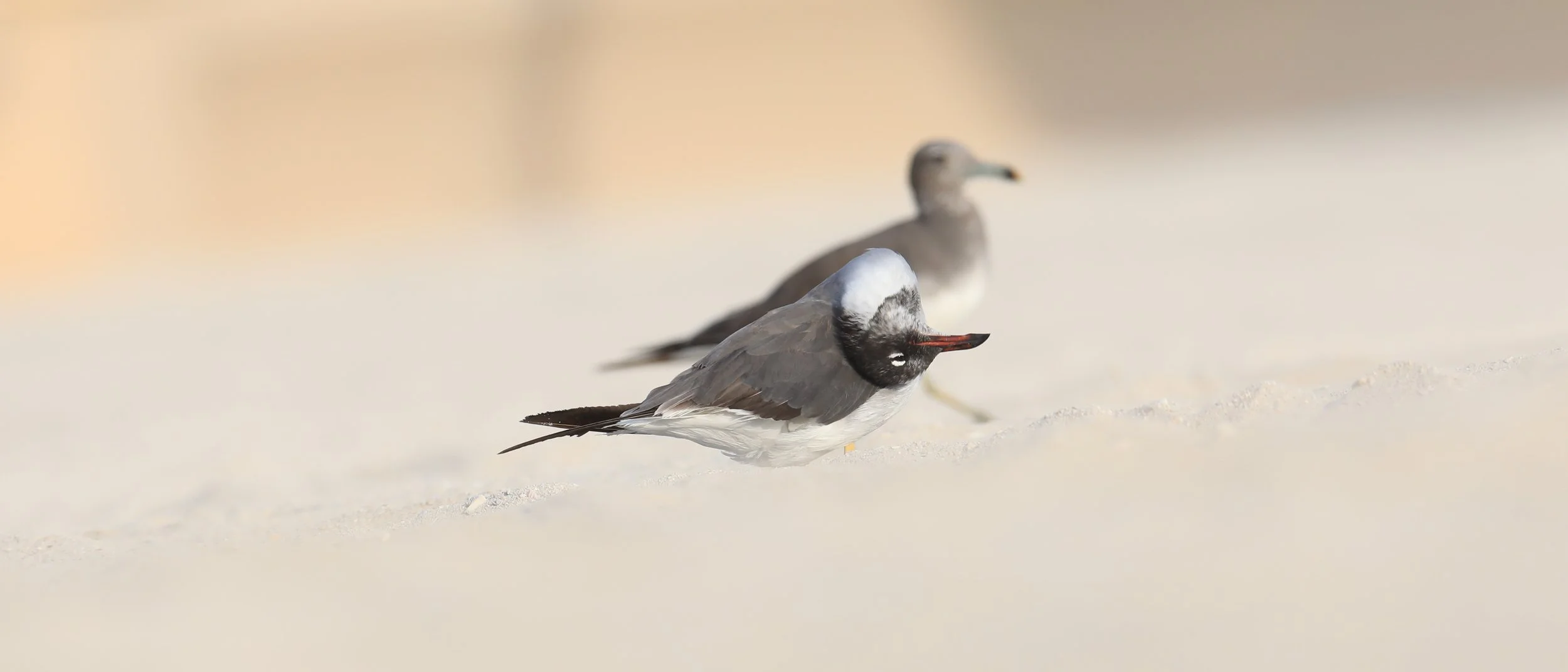 Photo Credit: Paul Kinnock