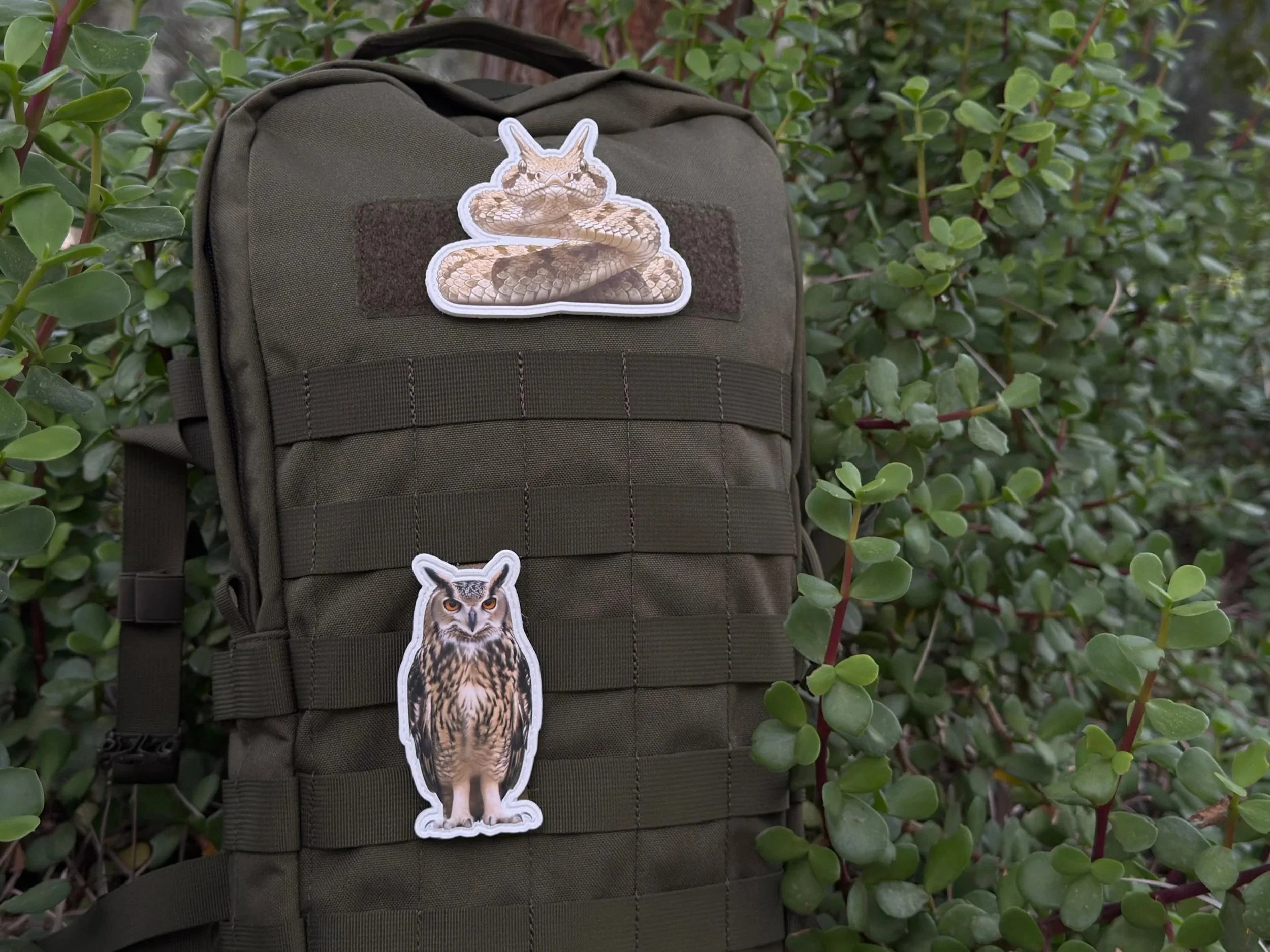 WhatsApp+Image+2026-03-19+at+13.30.35+%2823%29.jpg (Copy)