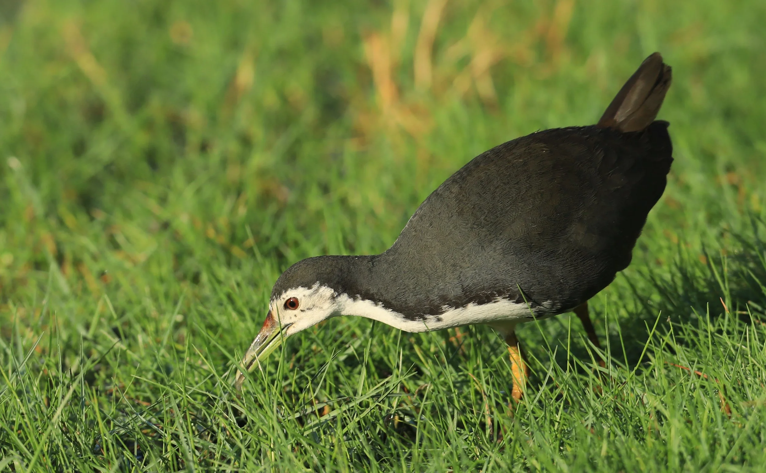 Photo Credit: Paul Kinnock