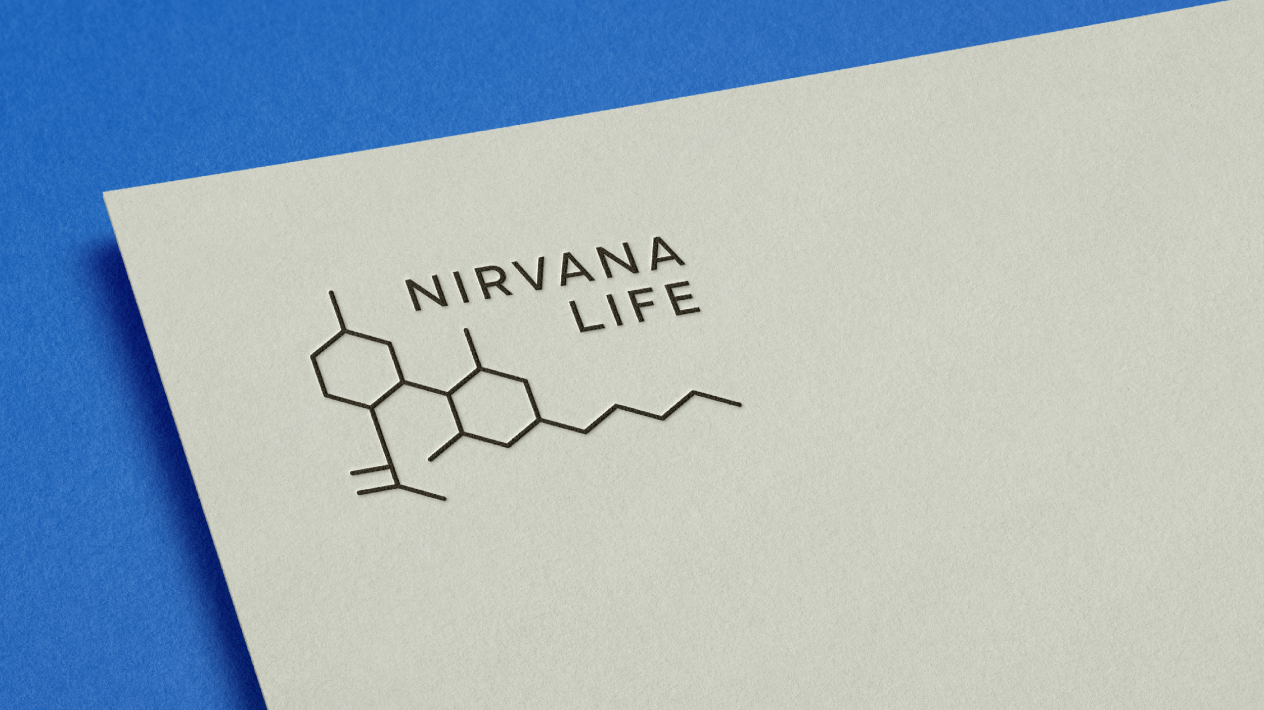 Nirvana-Life_Rebrand_12.png