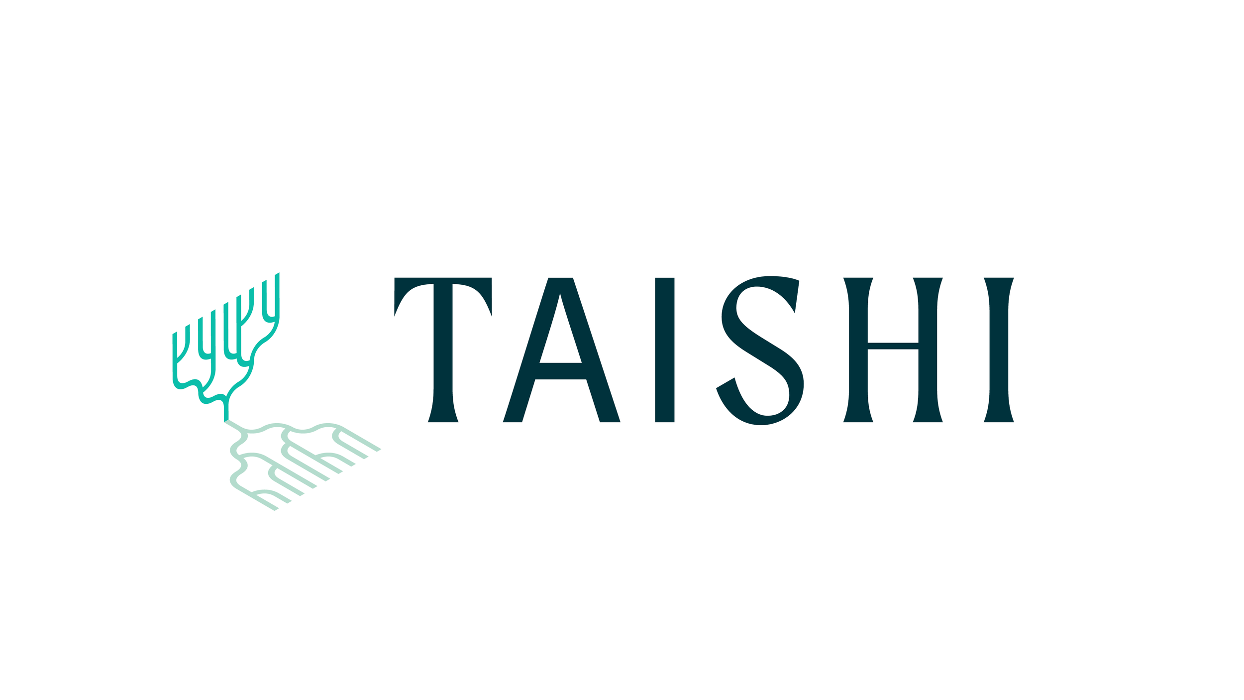 TAISHI_Presentation_02.png