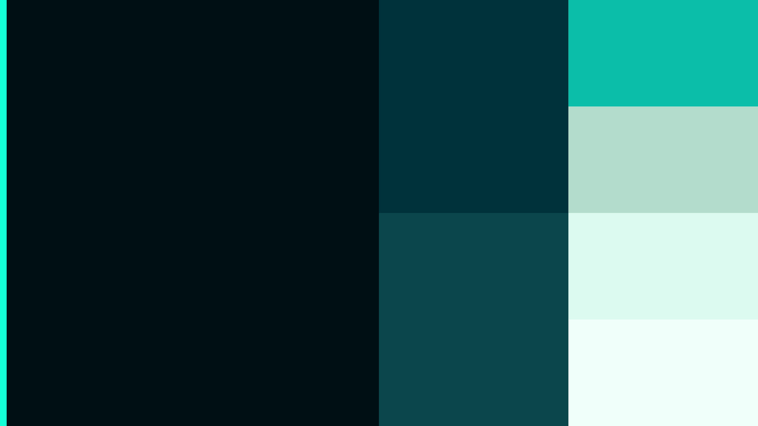 TAISHI_Visual-Identity-Guidelines_2021-01-05_17.png