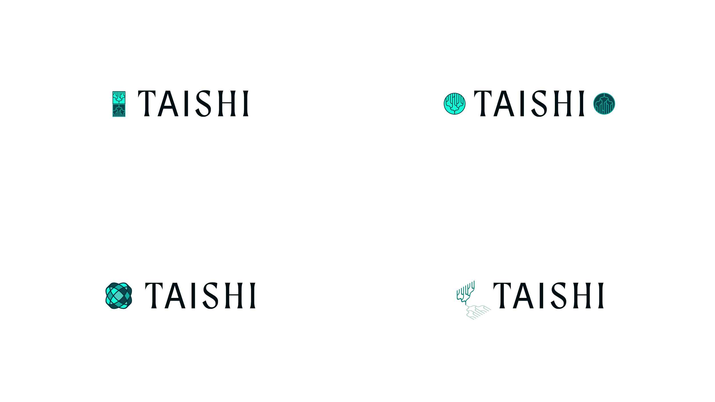 TAISHI_Presentation_WIP_02.png