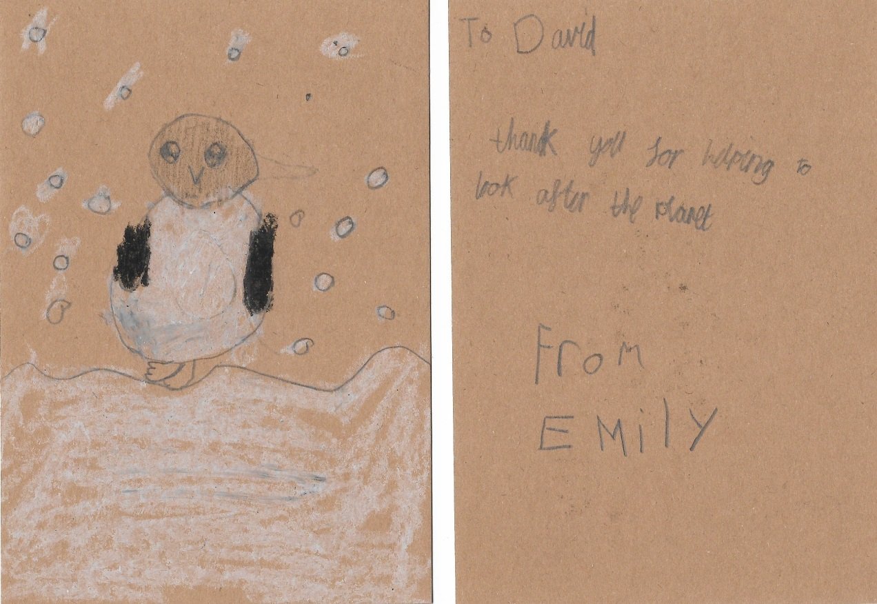 Emily 2.jpg