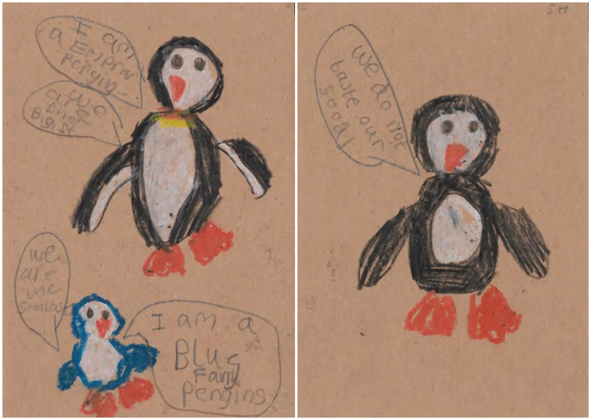 Emperor penguin-1.jpg