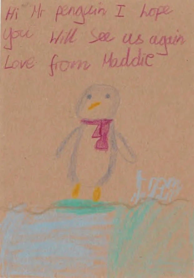 Maddie.jpg