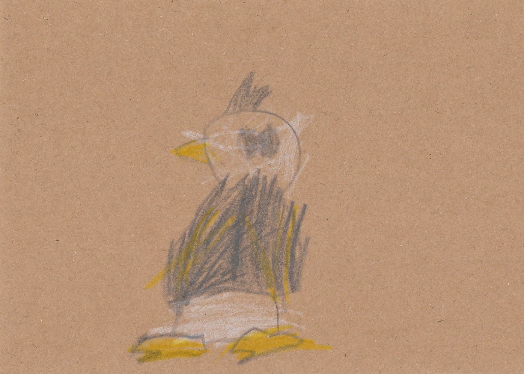yellow beak.jpg