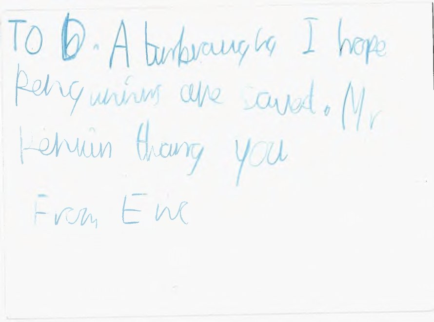 Evie 3.jpg