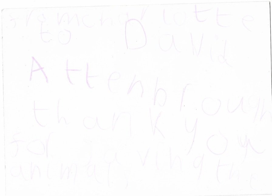 Charlotte.jpg