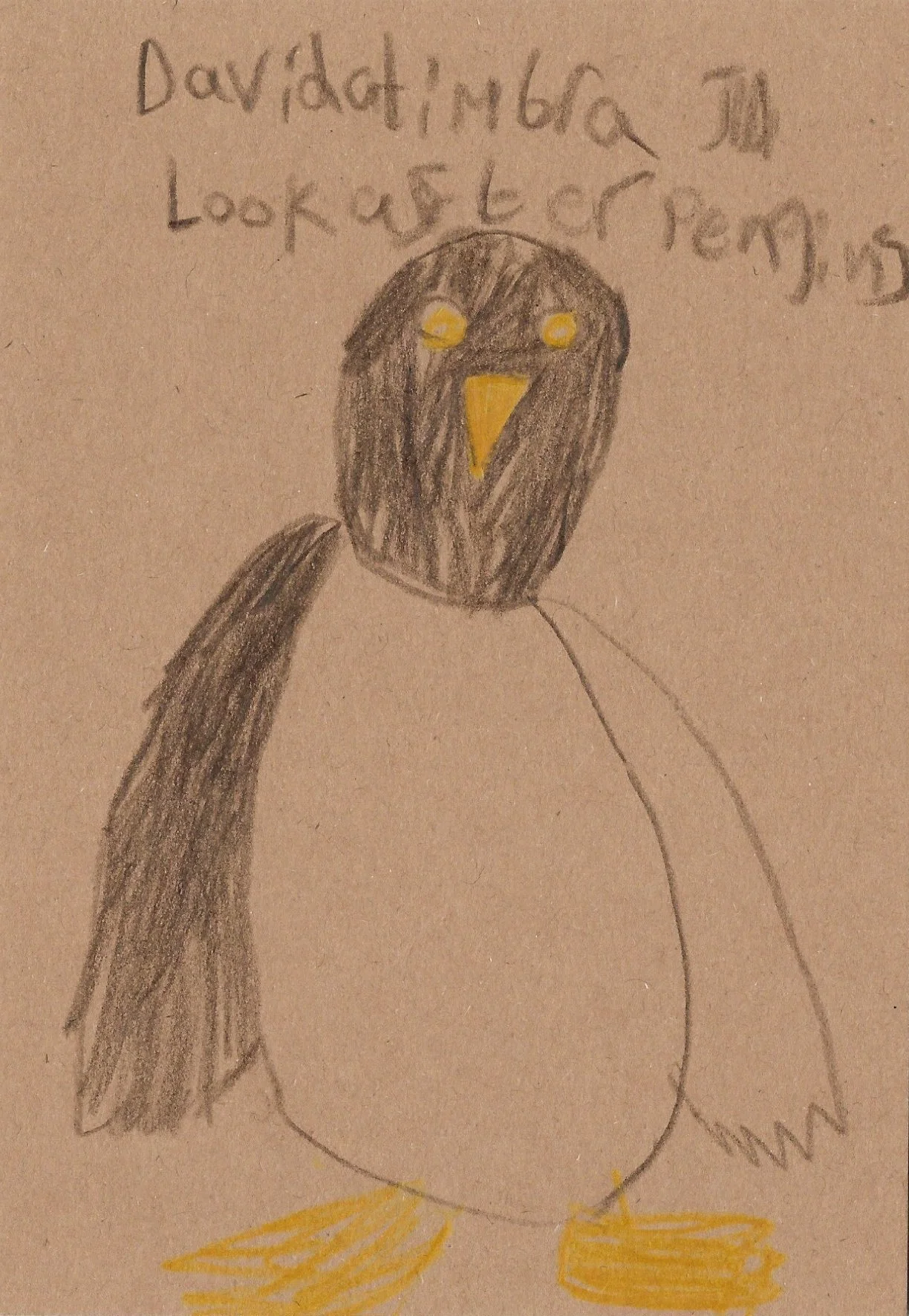 look after penguins.jpg