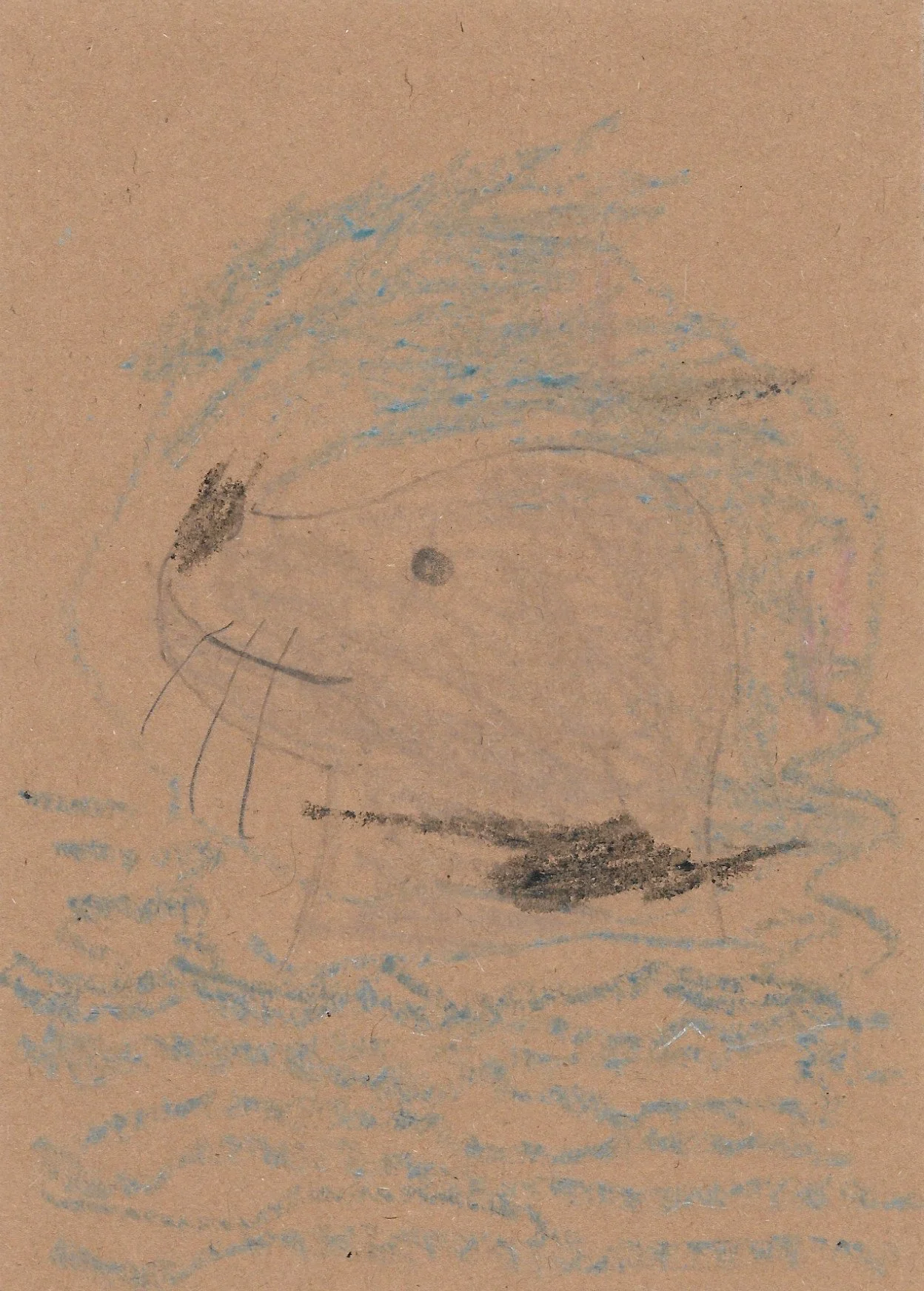seal.jpg
