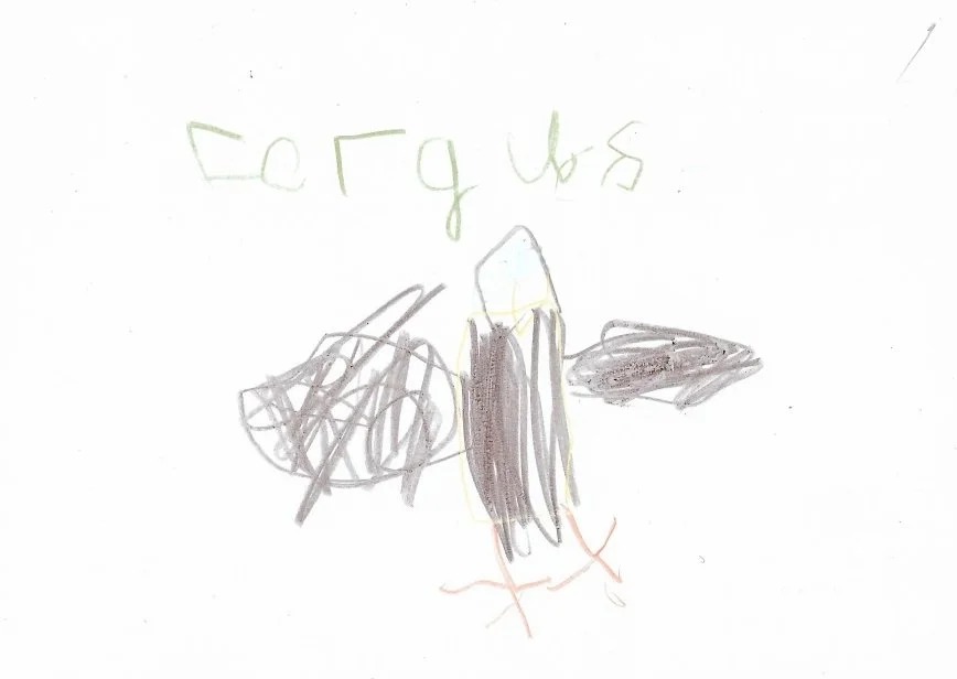 Fergus-1.jpg