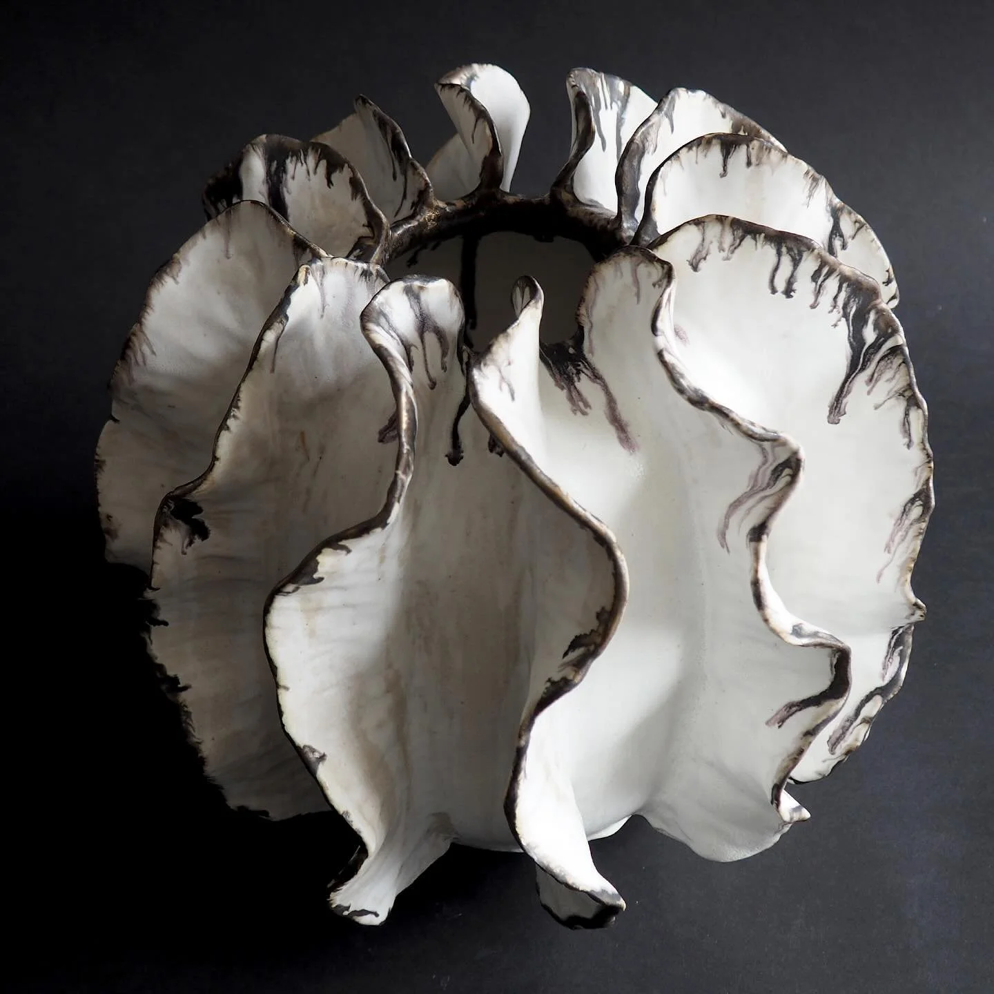 Ghost 🩶
NEW on my website 
Large vase with oxidised frills 

#annascholzceramics #ceramics #contemporaryceramics #interior #interiordesign #ceramicvase #vessel