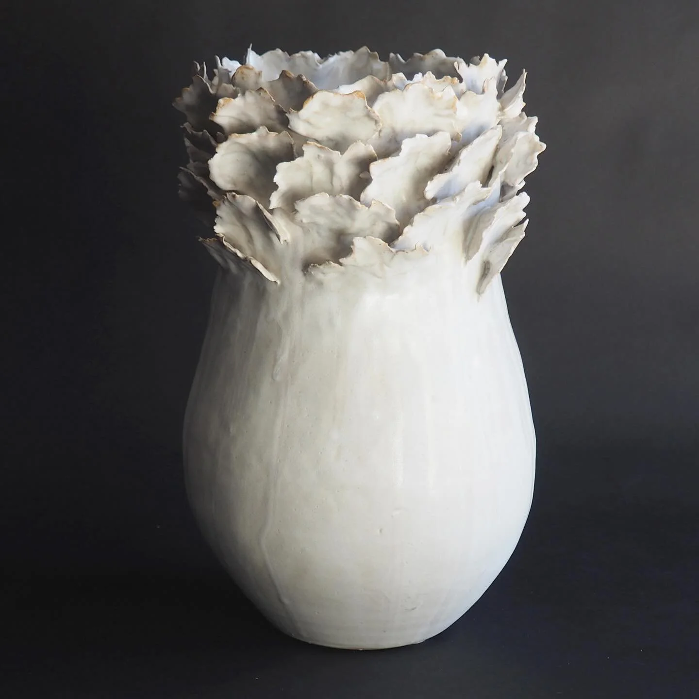 Frost 
New large stoneware vessel with petals.

#ceramics #contemporaryceramics #interiors #interiordesign #vase