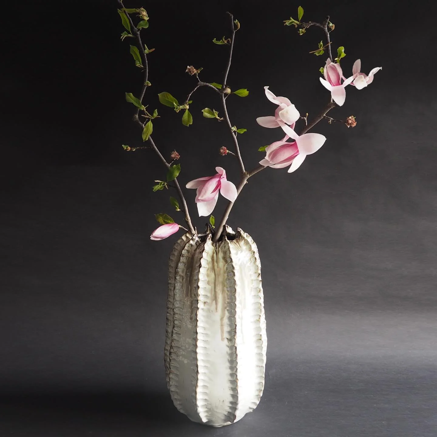 The biggest vase I ever made and a commission which truly challenged me.
At half a meter tall this spine vase is a beauty 🤍 #contemporaryceramics #annascholz #ceramics #interiors