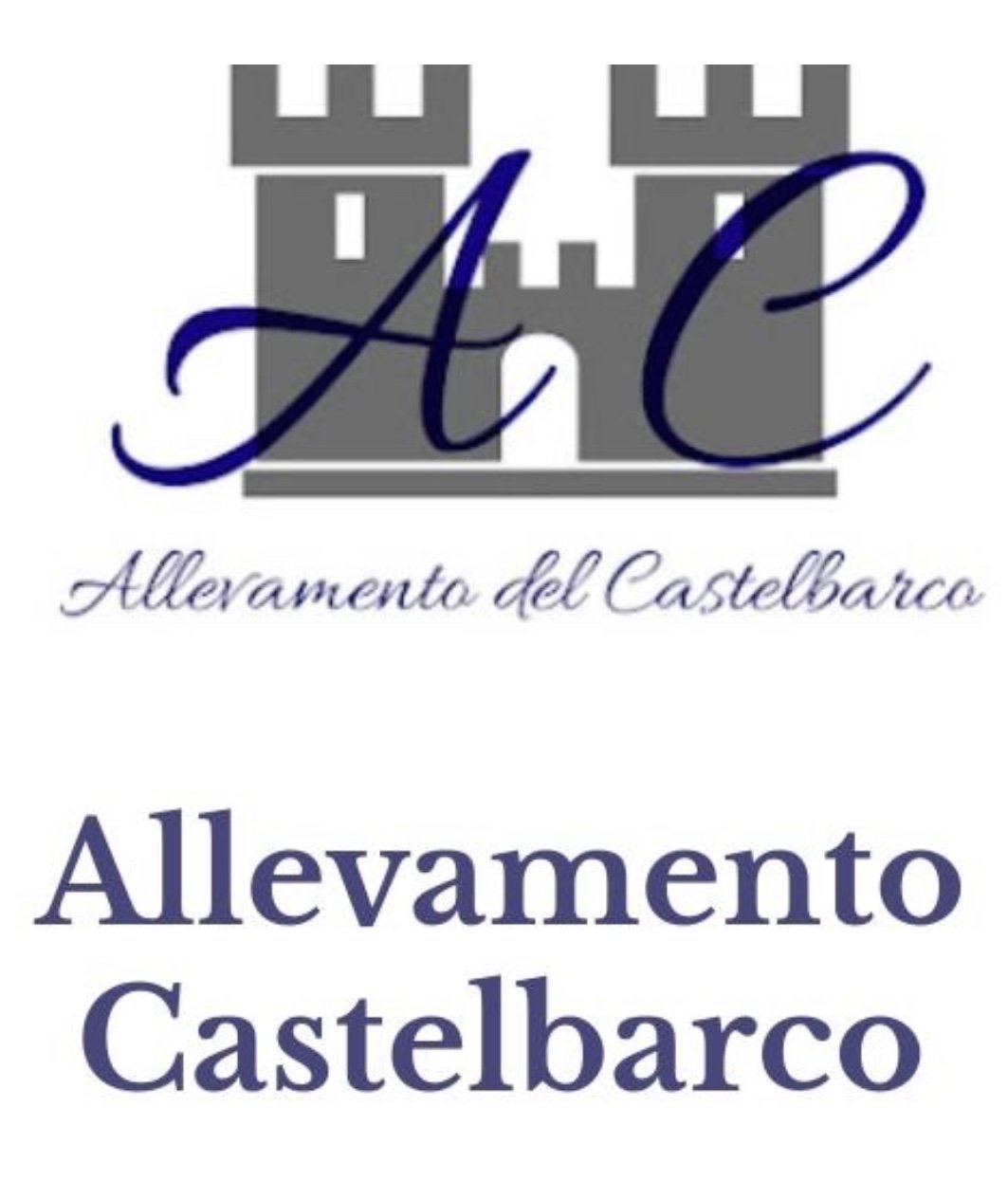 Allevamento Boxer Del Castelbarco  riconosciuto ENCI e FCI