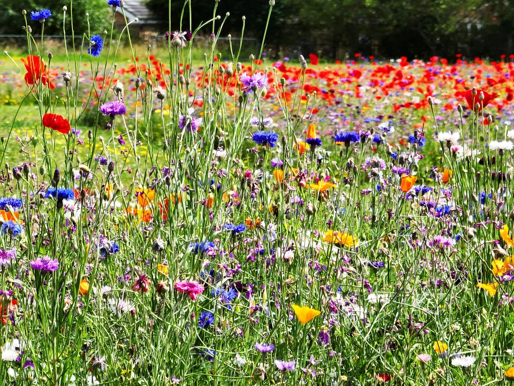 Contact Us — Cartwright Landscapes